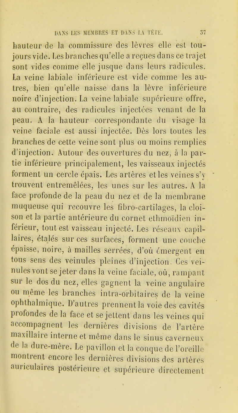 hauteur de la commissure des lèvres elle est tou- jours vide. Les branches qu'elle a reçues dans ce trajet sont vides comme elle jusque dans leurs radicules. La veine labiale inférieure est vide comme les au- tres, bien qu'elle naisse dans la lèvre inférieure noire d'injection. La veine labiale supérieure offre, au contraire, des radicules injectées venant de la peau. A la hauteur correspondante du visage la veine faciale est aussi injectée. Dès lors toutes les branches de cette veine sont plus ou moins remplies d'injection. Autour des ouvertures du nez, à la par- tie inférieure principalement, les vaisseaux injectés forment un cercle épais. Les artères elles veines s'y ' trouvent entremêlées, les unes sur les autres. A la face profonde de la peau du nez et de la membrane muqueuse qui recouvre les fibro-cartilages, la cloi- son et la partie antérieure du cornet ethmoïdien in- férieur, tout est vaisseau injecté. Les réseaux capil- laires, étalés sur ces surfaces, forment une couche épaisse, noire, à mailles serrées, d'où émergent en tous sens des veinules pleines d'injection. Ces vei- nules vont se jeter dans la veine faciale, où, rampant sur le dos du nez, elles gagnent la veine angulaire ou même les branches intra-orbitaires de la veine ophthalmique. D'autres prennentla voie des cavités profondes de la face et se jettent dans les veines qui accompagnent les dernières divisions de l'artère maxillaire interne et même dans le sinus caverneux de la dure-mère. Le pavillon et la conque de l'oreilh; montrent encore les dernières divisions des artères auriculaires postérieure et supérieure directement