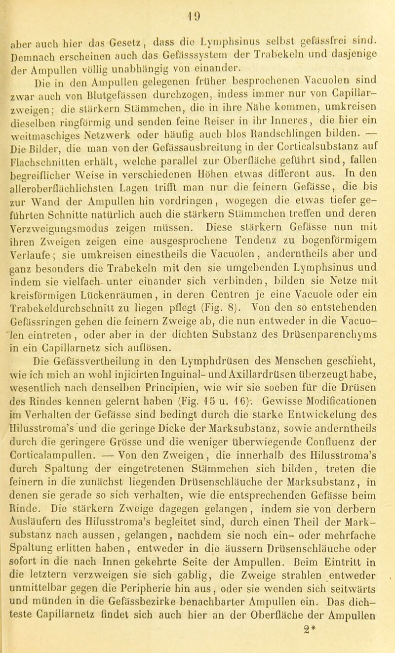 aber auch hier das Gesetz, chiss die Lymphsinus selbst gefässfrei sind. Demnach erscheinen auch das Gefässsyslem der Trabekeln und dasjenige der Ampullen völlig unabhängig von einander. Die in den Ampullen gelegenen früher besprochenen Vacuolen sind zwar auch von Blutgefässen durchzogen, indess immer nur von Capillar- zweigen; die starkem Stämmchen, die in ihre Nähe kommen, umkreisen dieselben ringförmig und senden feine Heiser in ihr Inneres, die hier ein weitmaschiges Netzwerk oder häufig auch blos Randschlingen bilden. — Die Bilder, die man von der Gefässausbreitung in der Corlicalsubstanz auf Flachschnillen erhält, welche parallel zur Oberfläche geführt sind, fallen begreiflicher Weise in verschiedenen Höhen etwas differenl aus. In den alleroberflächlichslen Lagen trifft man nur die feinern Gefässe, die bis zur Wand der Ampullen hin vordringen, wogegen die etwas tiefer ge- führten Schnitte natürlich auch die stärkern Slämmchen treffen und deren Verzweigungsmodus zeigen müssen. Diese stärkern Gefässe nun mit ihren Zweigen zeigen eine ausgesprochene Tendenz zu bogenförmigem Verlaufe ; sie umkreisen einestheils die Vacuolen , anderntheils aber und ganz besonders die Trabekeln mit den sie umgebenden Lymphsinus und indem sie vielfach-unter einander sich verbinden, bilden sie Netze mit kreisförmigen Lückenräumen, in deren Centren je eine Vacuole oder ein Trabekeldurchschnitt zu liegen pflegt (Fig. 8). Von den so entstehenden Gefässringen gehen die feinern Zweige ab, die nun entweder in die Vacuo- len eintreten , oder aber in der dichten Substanz des Drüsenparenchyms in ein Capillarnetz sich auflösen. Die Gefässverlheilung in den Lymphdrüsen des Menschen geschieht, wie ich mich an wohl injicirten Inguinal- und Axillardrüsen überzeugt habe, wesentlich nach denselben Principien, wie wir sie soeben für die Drüsen des Rindes kennen gelernt haben (Fig. 15 u. \ 6); Gewisse Modifikationen im Verhallen der Gefässe sind bedingt durch die starke Entwicklung des Ililusslroma's und die geringe Dicke der Marksubstanz, sowie anderntheils durch die geringere Grösse und die weniger überwiegende Confluenz der Corticalampullen. —Von den Zweigen, die innerhalb des Ililusslroma's durch Spaltung der eingetretenen Slämmchen sich bilden, treten die feinern in die zunächst liegenden Drüsenschläuche der Marksubstanz, in denen sie gerade so sich verhalten, wie die entsprechenden Gefässe beim Rinde. Die stärkern Zweige dagegen gelangen, indem sie von derbem Ausläufern des Ililusslroma's begleitet sind, durch einen Theil der Mark- substanz nach aussen , gelangen, nachdem sie noch ein- oder mehrfache Spaltung erlitten haben, entweder in die äussern Drüsenschläuche oder sofort in die nach Innen gekehrte Seite der Ampullen. Beim Eintritt in die letztern verzweigen sie sich gabiig, die Zweige strahlen entweder unmittelbar gegen die Peripherie hin aus, oder sie wenden sich seitwärts und münden in die Gefässbezirke benachbarter Ampullen ein. Das dich- teste Capillarnetz findet sich auch hier an der Oberfläche der Ampullen 2*