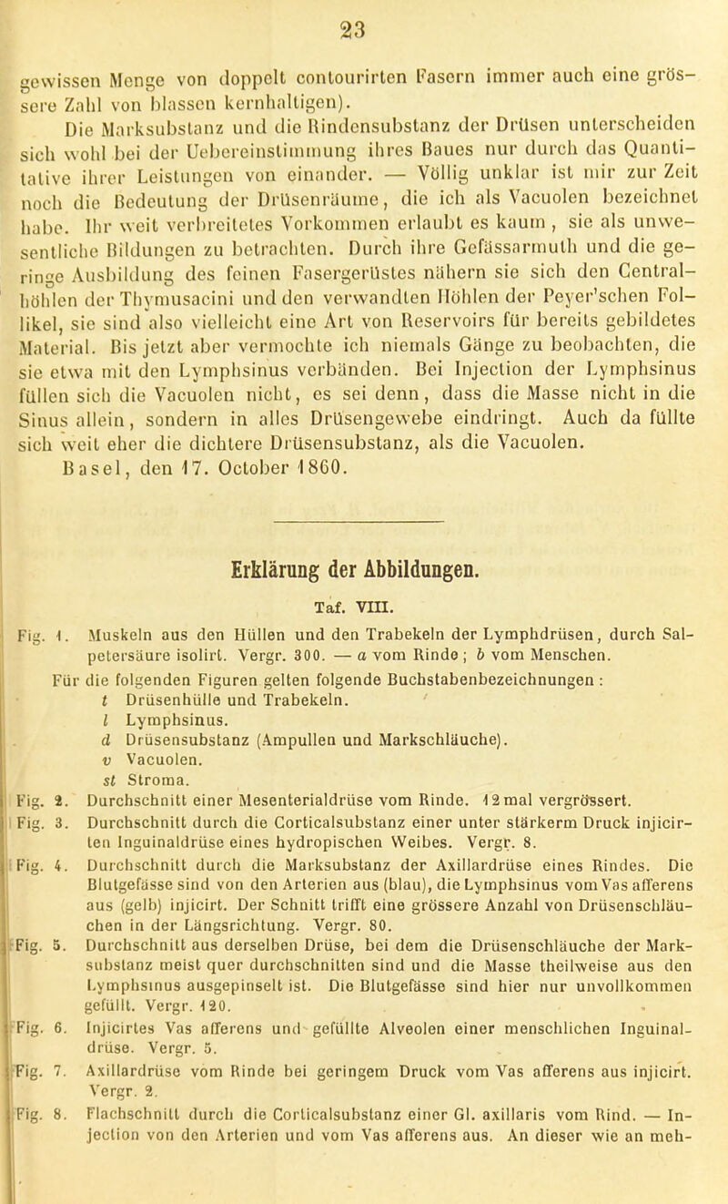gewissen Menge von doppelt conlourirten Fasern immer auch eine grös- sere Zahl von blassen kernhaltigen). Die Marksubstanz und die Rindensubstanz der Drüsen unterscheiden sich wohl bei der Uebereinstimmung ihres Baues nur durch das Quanti- tative ihrer Leistungen von einander. — Völlig unklar ist mir zur Zeit noch die Bedeutung der Drusenräume, die ich als Vacuolen bezeichnet habe. Ihr weit verbreitetes Vorkommen erlaubt es kaum , sie als unwe- sentliche Bildungen zu betrachten. Durch ihre Gcfassarmulh und die ge- ringe Ausbildung des feinen Fasergerllstes nähern sie sich den Centrai- höhlen der Thymusacini und den verwandten Höhlen der Peyer'schen Fol- likel, sie sind also vielleicht eine Art von Reservoirs für bereits gebildetes Material. Bis jetzt aber vermochte ich niemals Gänge zu beobachten, die sie etwa mit den Lymphsinus verbänden. Bei Injection der Lymphsinus füllen sich die Vacuolen nicht, es sei denn, dass die Masse nicht in die Sinus allein, sondern in alles Drüsengewebe eindringt. Auch da füllte sich weit eher die dichtere Diüsensubstanz, als die Vacuolen. Basel, den 17. October 1860. Erklärung der Abbildungen. Taf. vin. Fig. \. Muskeln aus den Hüllen und den Trabekeln der Lymphdrüsen, durch Sal- petersäure isolirt. Vergr. 300. — a vom Rinde; b vom Menschen. Für die folgenden Figuren gelten folgende Buchstabenbezeichnungen : t Drüsenhülle und Trabekeln. I Lymphsinus. d Drüsensubstanz (Ampullen und Markschlauche). v Vacuolen. st Stroma. Fig. 2. Durchschnitt einer Mesenterialdrüse vom Rinde. 12 mal vergrtfssert. Fig. 3. Durchschnitt durch die Corticalsubstanz einer unter starkerm Druck injicir- len lnguinaldrüse eines hydropischen Weihes. Vergr. 8. Fig. 4. Durchschnitt durch die Marksubstanz der Axillardrüse eines Rindes. Die Blutgefässe sind von den Arterien aus (blau), die Lymphsinus vom Vas afl'erens aus (gelb) injicirt. Der Schnitt trifft eine grössere Anzahl von Drüsenschläu- chen in der Längsrichtung. Vergr. 80. -Fig. 5. Durchschnitt aus derselben Drüse, bei dem die Drüsenschläuche der Mark- subslanz meist quer durchschnitten sind und die Masse theilweise aus den l.ymphsinus ausgepinselt ist. Die Blutgefässe sind hier nur unvollkommen gefüllt. Vergr. 120. FFig. 6. Injicirtes Vas afferens und gefüllte Alveolen einer menschlichen lnguinal- drüse. Vergr. 5. Tig. 7. Axillardrüse vom Rinde bei geringem Druck vom Vas afferens aus injicirt. Vergr. 2. I;Fig. 8. Flachschnitt durch die Corticalsubstanz einer Gl. axillaris vom Rind. — In- jection von den Arterien und vom Vas afferens aus. An dieser wie an meh-