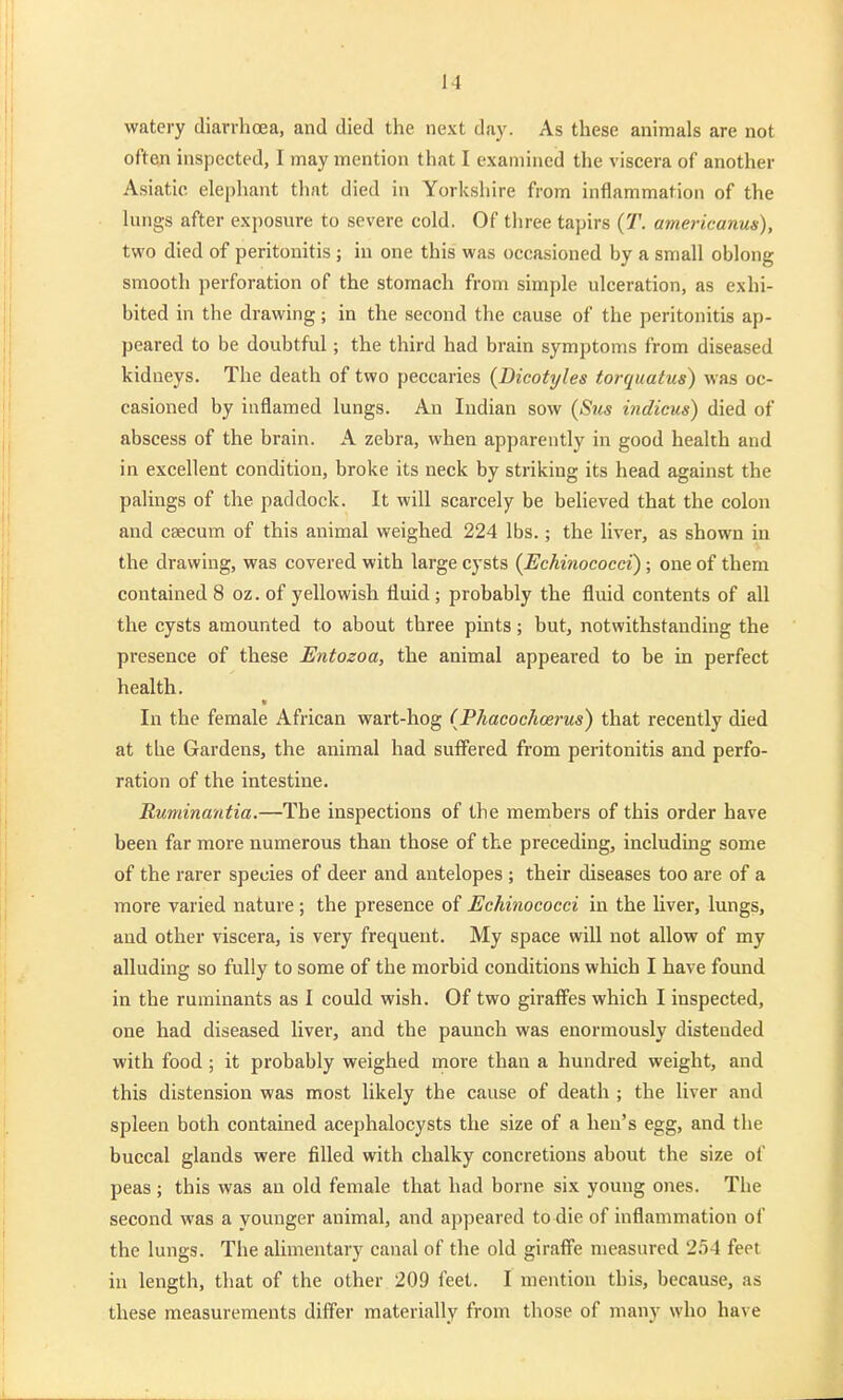 watery diarrhoea, and died the next day. As these animals are not often inspected, I may mention that I examined the viscera of another Asiatic elepliant that died in Yorkshire from inflammation of the lungs after exposure to severe cold. Of three tapirs {T. americanus), two died of peritonitis ; in one this was occasioned by a small oblong smooth perforation of the stomach from simple ulceration, as exhi- bited in the drawing; in the second the cause of the peritonitis ap- peared to be doubtful; the third had brain symptoms from diseased kidneys. The death of two peccaries {Dicotyles torquatus) was oc- casioned by inflamed lungs. An Indian sow {Sus indicus) died of abscess of the brain. A zebra, when apparently in good health and in excellent condition, broke its neck by striking its head against the palings of the paddock. It will scarcely be beheved that the colon and caecum of this animal weighed 224 lbs.; the liver, as shown in the drawing, was covered with large cysts {Echmococci); one of them contained 8 oz. of yellowish fluid ; probably the fluid contents of aU the cysts amounted to about three pints; but, notwithstanding the presence of these Entozoa, the animal appeai'ed to be in perfect health. In the female African wart-hog (Phacoclicerus) that recently died at the Gardens, the animal had suifered from peritonitis and perfo- ration of the intestine. Ruminantia.—The inspections of the members of this order have been far more numerous than those of the preceding, includmg some of the rarer species of deer and antelopes ; their diseases too are of a more varied nature; the presence of Echinococci in the liver, lungs, and other viscera, is very frequent. My space will not allow of my alluding so fully to some of the morbid conditions which I have found in the ruminants as I could wish. Of two giraffes which I inspected, one had diseased liver, and the paunch was enormously distended with food ; it probably weighed more than a hundred weight, and this distension was most likely the cause of death ; the liver and spleen both contained acephalocysts the size of a hen's egg, and the buccal glands were filled with chalky concretions about the size of peas ; this was an old female that had borne six young ones. The second was a younger animal, and appeared to die of inflammation of the lungs. The alimentary canal of the old giraffe measured 254 feet in length, that of the other 209 feet. I mention this, because, as these measurements differ materially from those of many who have
