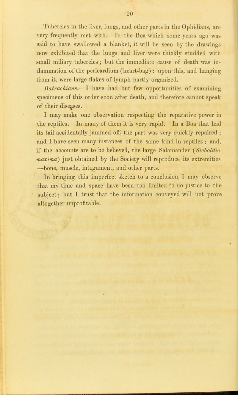 Tubercles in the liver, lungs, and other parts in the Opliidians, are very frequently met with. In the Boa which some years ago was said to have swallowed a blanket, it will be seen by the drawings now exhibited that the lungs and liver were thickly studded with small miliary tubercles; but the immediate cause of death was in- flammation of the pericardium (heart-bag) : upon this, and hanging from it, were large flakes of lymph partly organized. Batrachians.—I have had but few opportunities of examining specimens of this order soon after death, and therefore cannot speak of their diseases. I may make one observation respecting the reparative power in the reptiles. In many of them it is very rapid. In a Boa that had its tail accidentally jammed ofl, the part was very quickly repaired ; and I have seen many instances of the same kind in reptiles ; and, if the accounts are to be believed, the large Salamander (^Sieboldia maxima) just obtained by the Society will reproduce its extremities —bone, muscle, integument, and other parts. In bringing this imperfect sketch to a conclusion, I may observe that my time and space have been too limited to do justice to the subject; but I trust that the information conveyed will not prove altogether unprofitable.