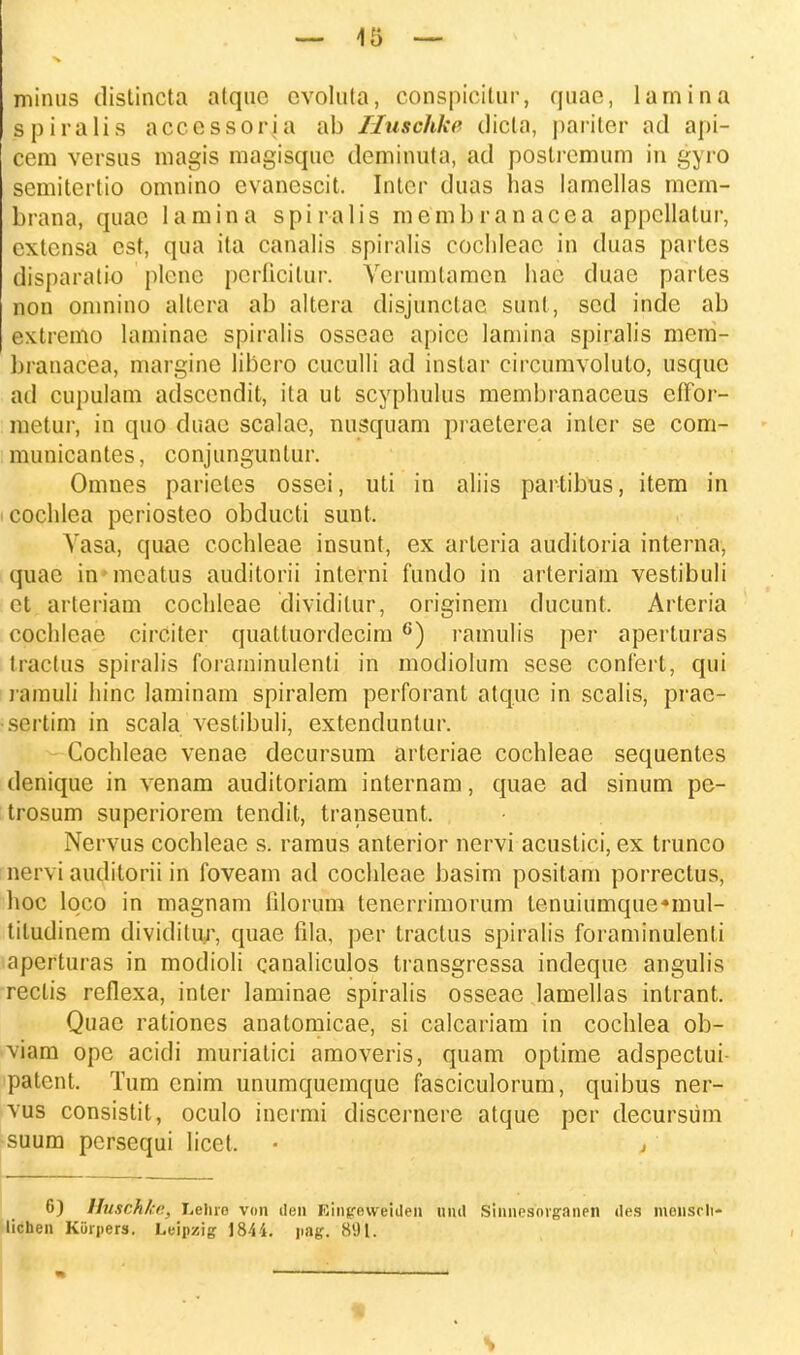 minus distincta atquo cvoluta, conspicitur, quae, lamina spiralis acccssoria ab Iluschke dicla, pariter ad api- cem versus magis magisquc deminula, ad postrcmum in gyro semitertio omnino cvancscit. Intcr duas has lamellas mem- brana, quae lamina spiralis membranacea appcllalur, cxtcnsa est, qua ita canalis spiralis cochleac in duas partes disparatio plcnc perficilur. Vcrumtamcn hae duae partes non oninino altera ab altera disjunclac sunl, scd inde ab extremo laminac spiralis osseae apicc lamina spiralis mem- hranacea, margine libero cuculli ad instar circumvoluto, usquc ad cupulam adsccndit, ita ut scyphulus membranaceus effor- raetur, in quo duac scalac, nusquam praeterea intcr se com- municantcs, conjungunlur. Omnes pariclcs ossci, uti in aliis partibus, item in cochlea periosteo obducti sunt, Vasa, quae cochleae insunt, ex arteria auditoria interna, quac in mcatus auditorii inlerni fundo in arteriam vestibuli et artcriam cochleae dividitur, originem ducunt. Arteria cochlcac circiter quatluordccim 6) ramulis per aperturas tractus spiralis foraminulenti in modiolum sese confert, qui ramuli hinc laminam spiralem perforant atquc in scalis, prac- sertim in scala vestibuli, extenduntur. Cochleae venae decursum arteriae cochleae sequentes denique in venam auditoriam internam, quae ad sinum pe- trosum superiorem tendit, transeunt. Nervus cochleae s. ramus anterior nervi acustici, ex trunco nervi auditorii in foveam ad cochleae basim positam porrectus, hoc loco in magnam filorum tenerrimorum lenuiumque*mul- tiludinem dividitur, quae fila, per tractus spiralis foraminulenti apcrturas in modioli canaliculos transgressa indeque angulis rectis reflexa, inter laminae spiralis osseae lamellas intrant. Quac rationcs anatomicae, si calcariam in cochlea ob- viam opc acidi murialici amoveris, quam optime adspectui- patcnt. Tum cnim unumquemque fasciculorum, quibus ner- vus consistit, oculo inermi discernere atque per decursiim suum persequi licet. • , 6) Huschke, Lehre von flen Eingeweiden und sinnpsniganen iles mensrli* lichen Kurjiers. Leipzig 1844. )mg. 8(.)I.