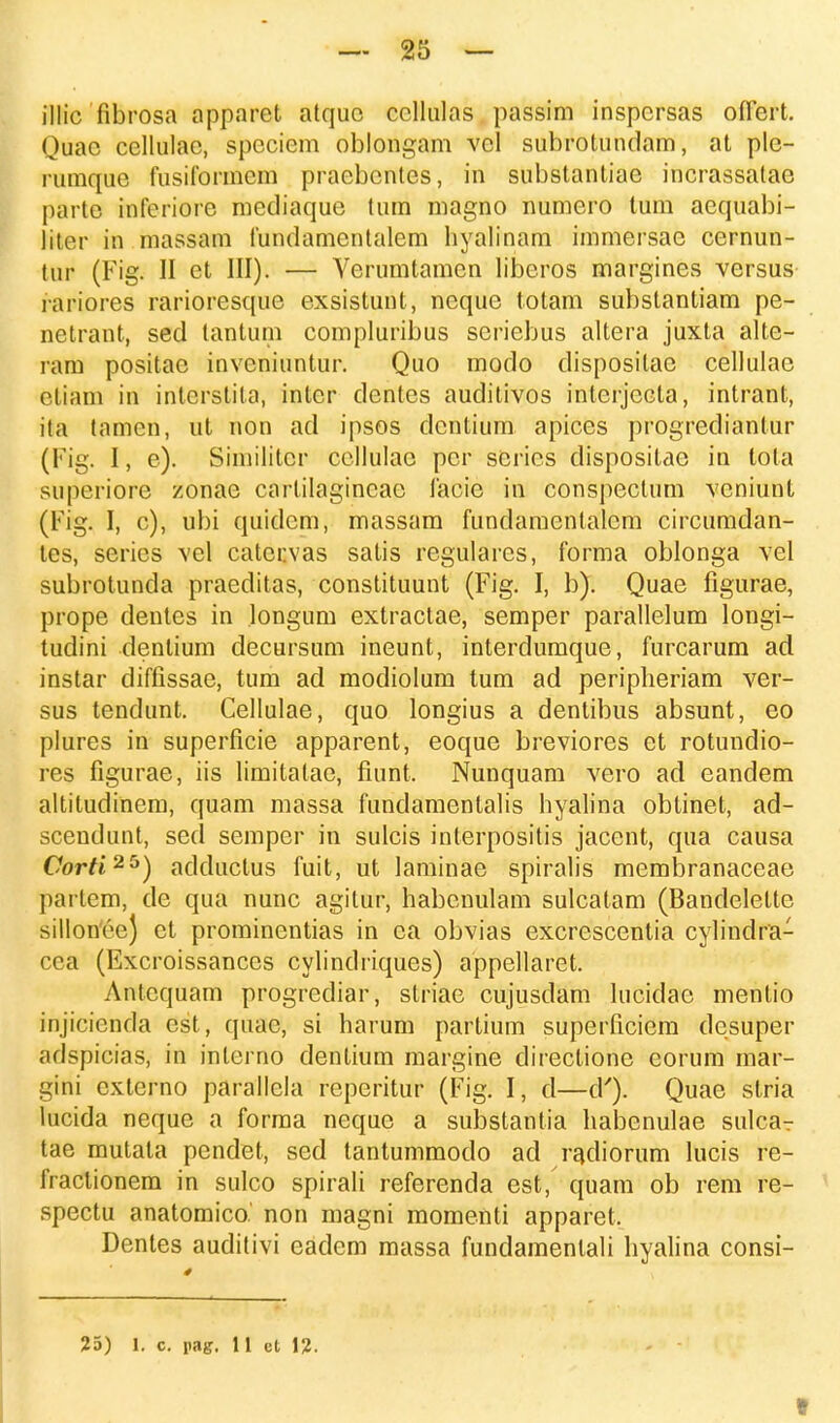 illic fibrosa apparet atquc ccllulas passim inspcrsas oflert. Quac cellulac, speciem oblongam vel subrotundam, at ple- rumquc fusiformem praebcntes, in substantiae incrassatac partc inferiore mediaque tum magno numero tum aequabi- liter in massam fundamentalem hyalinam immersae cernun- tur (Fig. II et III). — Verumtamcn liberos margines versus rariores rarioresque exsistunt, ncquc totam substantiam pe- netrant, sed tantum compluribus seriebus altera juxta alte- ram positac inveniuntur. Quo modo dispositac cellulac ctiam in interstila, intcr dentes auditivos inlerjecta, intrant, ita tamcn, ut non ad ipsos dcntium apices progrediantur (Fig. I, e). Similitcr ccllulac pcr sCries dispositac in tota superiore zonae cartilagincae facie in conspectum veniunt (Fig. I, c), ubi quidcm, massam fundamenlalcm circumdan- tes, series vel catervas satis regularcs, forma oblonga vel subrotunda praeditas, constituunt (Fig. I, b). Quae figurae, prope deutes in longum extractae, semper parallelum longi- tudini denlium decursum ineunt, interdumque, furcarum ad instar diffissae, tum ad modiolum tum ad peripheriam ver- sus tendunt. Cellulae, quo longius a dentibus absunt, eo plures in superficie apparent, eoque breviores et rotundio- res figurae, iis limitalae, fiunt, Nunquam vero ad eandem altitudinem, quam massa fundamentalis hyalina obtinet, ad- scendunt, sed semper in sulcis interpositis jacent, qua causa Corti2^) adductus fuit, ut laminae spiralis membranaceae parlem, de qua nunc agitur, habenulam sulcatam (Bandelette sillonce) et prominentias in ca obvias excrescentia cylindra- cea (Excroissanccs cylindriques) appellaret. Antcquam progrediar, striae cujusdam lucidac mentio injicienda est, quae, si harum partium superficiem desuper adspicias, in inlerno denlium margine directione eorum mar- gitii cxlerno parallcla reperitur (Fig. I, d—d'). Quae stria lucida neque a forma neque a substantia habenulae sulcar tae mutata pendet, sed tantummodo ad radiorum lucis re- fraclionem in sulco spirali referenda est, quam ob rem re- spectu anatomico.' non magni momenti apparet, Dentes auditivi eadem massa fundamenlali hyalina consi- 25) I. c. pag. 11 et 1?. I