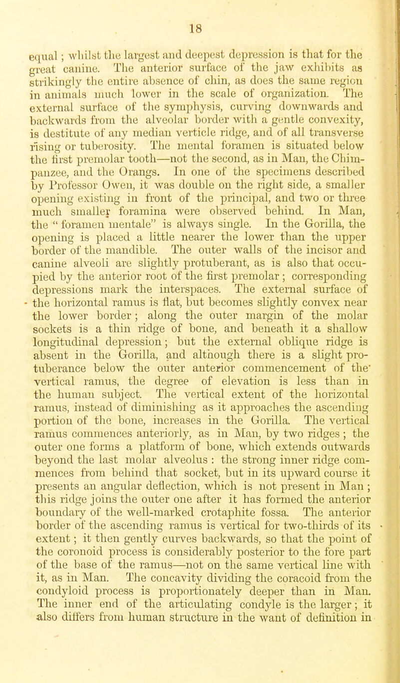 equal; whilst tlie largest and deepest depression is that for the great canine. The anterior surface of the jaw exhibits as strikingly the entire absence of chin, as does the same region in animals much lower in the scale of organization. The external surface of the symphysis, curving downwards and backwards from the alveolar border with a gentle convexity, is destitute of any median verticle ridge, and of ail transverse rising or tuberosity. The mental foramen is situated below the iirst premolar tootli—not the second, as in Man, the Chim- panzee, and the Orangs. In one of the specimens descriljed by Professor Owen, it was double on the right side, a smaller opening existing in front of the principal, and two or three much smaller foramina were observed behind. In Man, the  foramen mentale is always single. In the Gorilla, the opening is placed a little nearer the lower than the upper border of the mandible. The outer walls of the incisor and canine alveoli are slightly protuberant, as is also that occu- pied by the anterior root of the fii'st premolar; corresponding depressions mark the interspaces. The external surface of - the horizontal ramus is flat, but becomes slightly convex near the lower border; along the outer margin of the molar sockets is a thin ridge of bone, and beneath it a shallow longitudinal depression; but the external oblique ridge is absent in the Gorilla, and although there is a slight pro- tuberance below the outer anterior commencement of the vertical ramus, the degree of elevation is less than in the human subject. The vertical extent of the horizontal ramus, instead of diminishing as it approaches the ascending portion of the bone, increases in the Gorilla. The vertical ramus commences anteriorly, as in Man, by two ridges ; the outer one forms a platform of bone, which extends outwards beyond the last molar alveolus : the strong inner ridge com- mences from behind that socket, but in its upward course it presents an angular deflection, which is not present in Man ; this ridge joins the outer one after it has formed the anterior boundary of the well-marked crotaphite fossa. The anterior border of the ascending ramus is vertical for two-thirds of its extent; it then gently curves backwards, so that the point of the coronoid process is considerably posterior to the fore part of the base of the ramus—not on the same vertical line with it, as in Man. The concavity dividing the coracoid from the condyloid process is proportionately deeper than in Man. The inner end of the articulating condyle is the larger; it also differs from human structure in the want of definition in