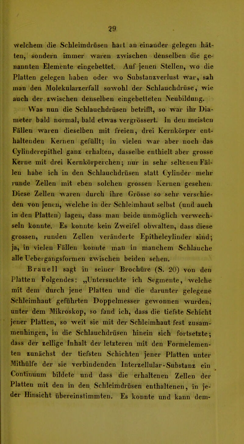 welchem die Schleimdrüsen hail an einauder gelegen hät- ten, sondern immer waren zwischen denselben die ge- nannten Elemente eingebettet. Auf jenen Stellen, w^o die Platten gelegen haben oder wo Substanzverlust war, sah man den Molekularzerfall sowohl der Schlauchdrüse, wie auch der zwischen denselben eingebetteten Neubildung. Was nun die Schlauchdrüsen betrilR, so war ihr Dia- meter bald normal, bald etwas vergrössert. In den meisten Fällen waren dieselben mit freien, drei Kernkörper ent- haltenden Kernen gefüllt; in vielen war aber noch das Cylindcrepithel ganz erhalten, dasselbe enthielt aber grosse Kerne mit drei Kernkörperchen; nur in sehr seltenen Fäl- len habe ich in den Schlauchdrüsen statt Cylinder mehr runde Zellen mit eben solchen grossen Kernen gesehen. Diese Zellen waren durch ihre Grösse so sehr verschie- den von jenen, welche in der Schleimhaut selbst (und auch in den Platten) lagen, dass man beide unmöglich verwech- seln konnte. Es konnte kein Zweifel obwalten, dass diese grossen, runden Zellen veränderte Epithelcylinder sind; ja, in vielen Fällen konnte man in manchem Schlauche alle Uebei gangsfornien zwischen beiden sehen. Brau eil sagt in seiner Brochüre (S. 20) von den Platten Folgendes: „Uutersuclite ich Segmente, welche mit dem durch jene Platten und die darunter gelegene Schleimhaut geführten Doppelmesser gewonnen wurden, unter dem IVlikroskop, so fand ich, dass die tiefste Schicht jener Platten, so weit sie mit der Schleimhaut fest zusam- menhingen, in die Schlauchdrüsen hinein sich fortsetzte; dass der zellige Inhalt der letzteren mit den Formelemen- ten zunächst der tiefsten Schichten jener Platten unter Mithülfe der sie verbindenden Interzellular-Substanz ein Continuum bildete und dass die erhaltenen Zellen der Platten mit den in den Schleimdrüsen enthaltenen, in je- der Hinsicht übereinsUmmten. Es konnte und kann dem-