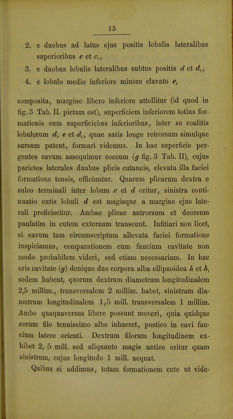 2. e duobus ad latus ejus positis lobulis lateralibus superioribus c et c^, 3. e duobus lobulis lateralibus subtus positis d et d^, 4. e lobulo medio inferiore minore clavato e, composita, margine libero inferiore attoUitur (id quod in fig. 3 Tab. n. pictum est), superficiem inferiorem totius for- mationis cum superficiebus iuferioribus, inter se coalitis lobulorum d, e et d^^, quae satis longe retrorsum simulque sursum patent, formari videmus. In hac superfieie per- gentes cavum assequimur coecum {g fig. 3 Tab. II), cujus parietes laterales duabus plicis cutaneis, elevata illa faciei formatione tensis, efficiuntur. Quarum plicarum dextra e sulco terminali inter lobum c et d oritur, sinistra conti- nuatio cutis lobuli d est magisque a margine ejus late- rali proficiscitur. Ambae plicae antrorsum et deorsum paulatim in cutem externam transeunt. Infitiari non licet, si cavum tarn circumscriptum allevata faciei formatione inspiciamus, comparationem cum faucium cavitate non modo probabilem videri, sed etiam necessariam. In bac oris cavitate {g) denique duo corpora alba ellipsoidea h et sedem habent, quorum dextrum diametrum longitudinalem 2,5 millim., transversalem 2 millim. habet, sinistram dia- metrum longitudinalem 1,5 mill. transversalem 1 millim. Ambo quaquaversus libere possunt moveri, quia quidque eorum filo tenuissimo albo inbaeret, postico in cavi fau- cium latere orienti. Dextrum filorum longitudinem ex- hibet 2, 5 mill. sed aliquanto magis antice oritur quam sinistrum, cujus longitudo 1 mill. aequat. Quibus si addimus, totam formationem cute ut vide-