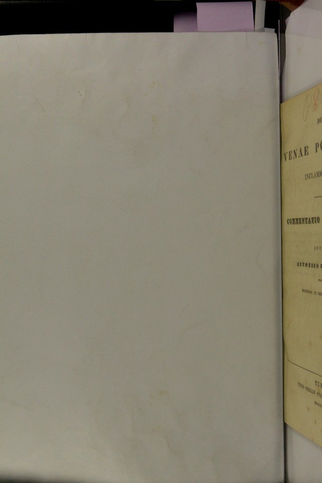 digitised image 2