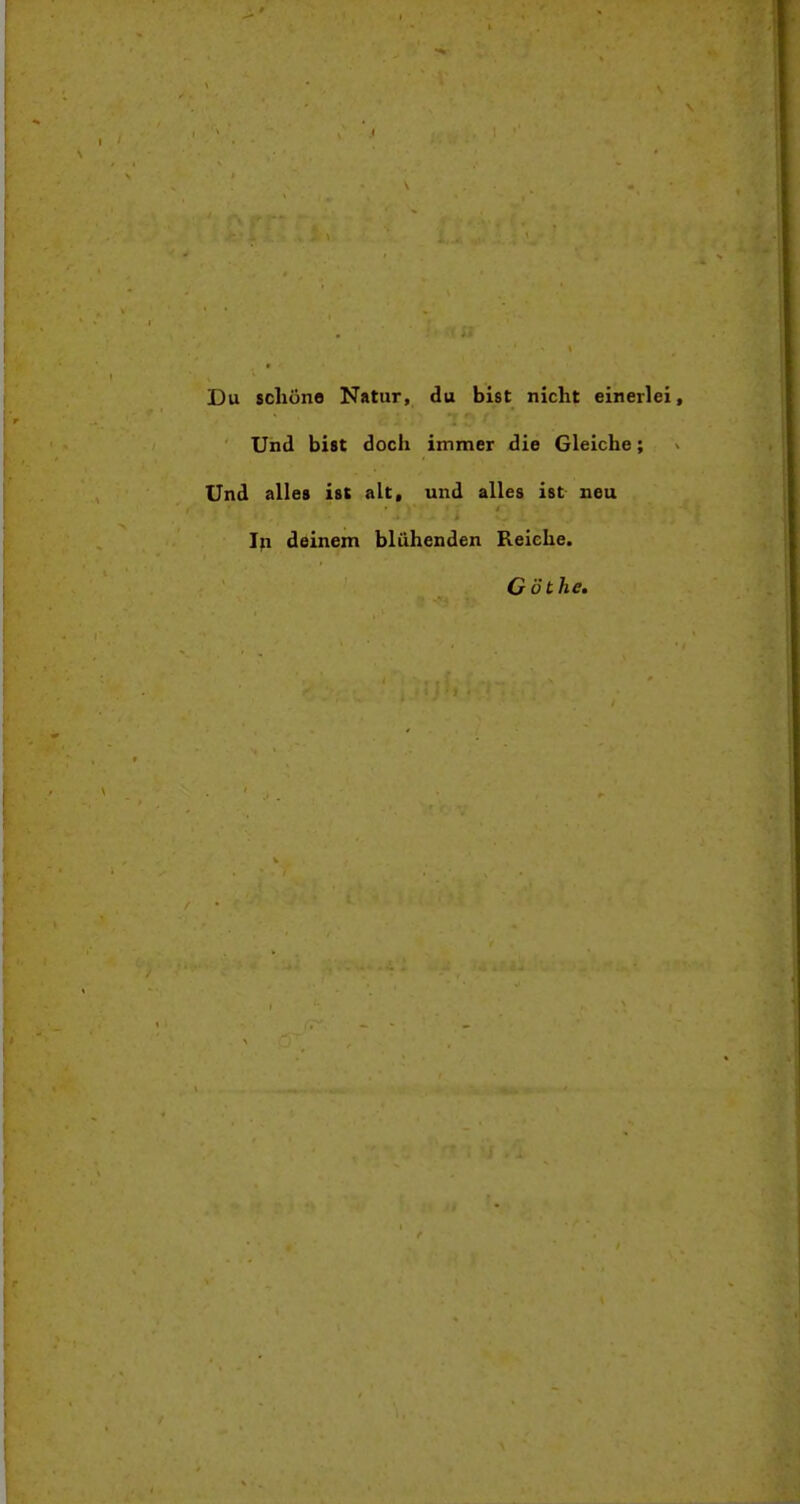 Du schöne Natur, du bist nicht einerlei. Und bist doch immer die Gleiche; Und alles ist alt, und alles ist neu Ip deinem blühenden Reiche. G öthe.