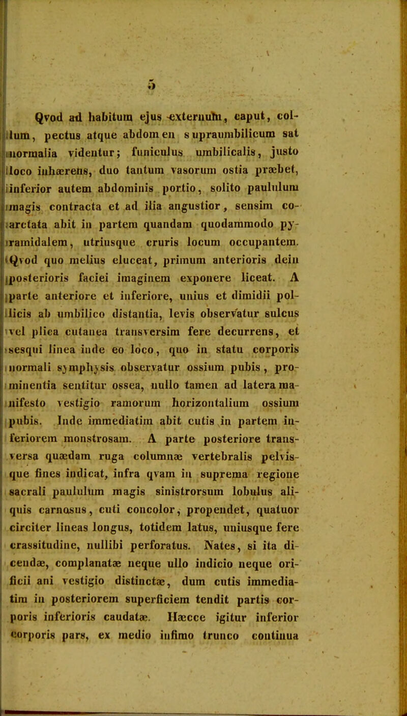 Qvod ad habituin ejus -exteruuhi, caput, coi- lum, pectus atque abdomen s upraumbilicum sat uormaiia videutur; funiculus urabilicalis, justo loco iulxaerelis, duo tautum vasorum ostia praebet, iiiferior autem abdominis por.tio, solito paululum niagis contracta et ad ilia angustior, sensim co- arctata abit in partem quandam quodammodo py- ramidalem, utriusque cruris locum occupantem. (^vod quo melius eiuceat, primum anterioris dein po8terioris faciei imaginem exponere liceat. A parte anteriore et inferiore, unius et dimidii pol- liicis ab umbilico distantia, levis observatur sulcus ^vel plica cutauea transversim fere decurrens, et »sesqui linea inde eo Idco, quo in statu corporis iiiormali s^mpli^sis observatur ossium pubis, pro- iminentia sentitur ossea, nullo tamen ad laterama- jjiifesto vestigio ramorum horizontalium ossium ipubis. Inde immediatim abit cutis Jn partem in- feriorem monstrosam. A parte posteriore trans- versa quaedam ruga columnae vertebralis pelvis- que fines indicat, infra qvam iu suprema regione sacrali paululum magis sinistrorsum lobulus ali- quis carnosus, cuti concolor^ propendet, quatuor circiter lineas longus, totidem latus, uniusque fere crassitudine, nullibi perforatus. Nates, si ita di- ceudae, complanatae neque ullo indicio neque ori- ficii ani vestigio distinctae, dum cutis immedia- tim in posteriorem superficiem tendit partis cor- poris inferioris caudatae. Haecce igitur inferior corporis pars, ex medio infimo trunco coutinua