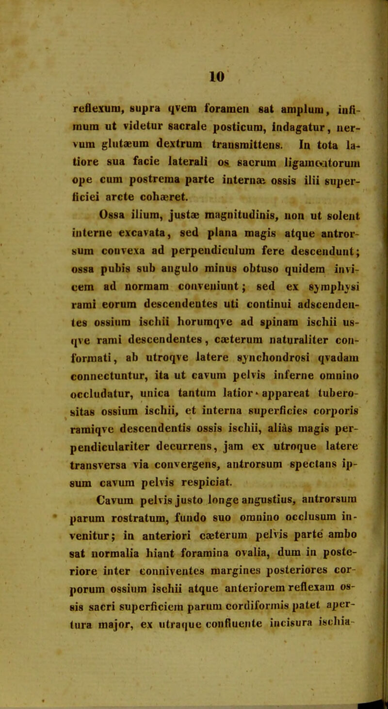 reflemini, supra qvem forameii sat amplum, iufi- mum ut videtur sacrale posticum, indagatur, ner- vum glutaeum dextrum transraittens. In tota la- tiore sua facie iaterali os sacrum ligamcritorum ope cum postrema parte interns& ossis iiii super- ficiei arcte cohaeret. Ossa iliura, justse magnitudinis, non ut solent interne excavata, sed ptana magis atque antror- sum convexa ad perpendiculum fere descendunt; ossa pubis sub angulo minus obtuso quidem invi- cem ad normam conveniunt; sed ex s^mphj^si rami eorum descendentes uti continui adscenden- tes ossium ischii horumqve ad spinam ischii us- qve rami descendentes, caeterum naturaliter con- formati, ab utroqve iatere sjnchondrosi qvadam connectuntur, ita ut cavum pelvis inferne omnino occludatur, unica tantum latior > appareat tubero- sitas ossium ischii, et iuterna superficies corjjoris ramiqve descendentis ossis ischii, ali&s magis per- pendiculariter decurrens, jam ex utroque latere transversa via convergens, antrorsum spectans ip- 8um cavura peivis respiciat. Cavum pelvisjusto longe angustius, antrorsura parum rostratum, fundo suo oranino occlusum in- venitur; in anteriori caeterum pelvis parte' ambo sat uormalia hiant foramina ovalia, dum in poste- riore inter eonniventes marginea posteriores cor- porum ossium ischii atque anteriorem reflexara os- sis sacri superficicra parum cordiformis patet aper- tura major, ex utraque confiuente incisura ischia-