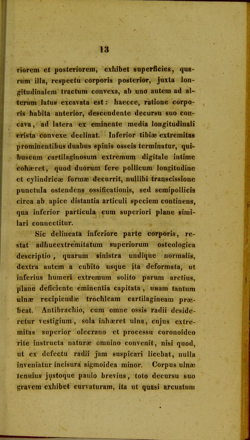 riorem et posteriorem, exhibet superficieg, qua- rum illa, respectu corporis posterior, juxta lon- gitudinalera tractum couvexa, ab uno autem ad al- teriim latus excavata est: haecce, ratione corpo- ris habita aiiterior, descendente decursu suo con- cara, ad latera ex eminente media longitudinali crista convexe declinat. Inferior tibiae extremitas prominentibus duabus spinis osseis terminatur, qui- buscum cartiiaginosum extremum digitale intime cohaeret, quod duorum fere poUicura longitudine et cylindricae forraae decurrit, nullibi transcissione punctula ostendens ossificationis, sed semipollicia circa ab apice distautia articuli speciem continens, qua inferior particula cum superiori plane eirai- lari connectitur. Sic delineata inferiore parte corporis, re- stat adhucextreraitatum superiorura osteologica descriptio, quarum sinistra undique norraalis, dextra autem a cubito usque ita deformata, ut inferius huraeri extremum solito parum arctius, plane deficiente erainentia capitata , UHam tantum iilnae recipiendac trochleam cartiiagineam prse- beat. Antibrachio, cura omne ossis radii deside- retur vestigiura , sola inhaeret ulna, cujus extre- mitas superior olecrano et processu coronoideo rite instructa naturae oranino convenit, nisi quod, ut ex defectu radii jam suspicari licebat, nulla inveniatur incisura sigmoidea minor. Corpus ulna; tenuius justoque paulo brevius, toto decursu suo gravcm exhibet curvaturam, ita ut quasi arcuatuni