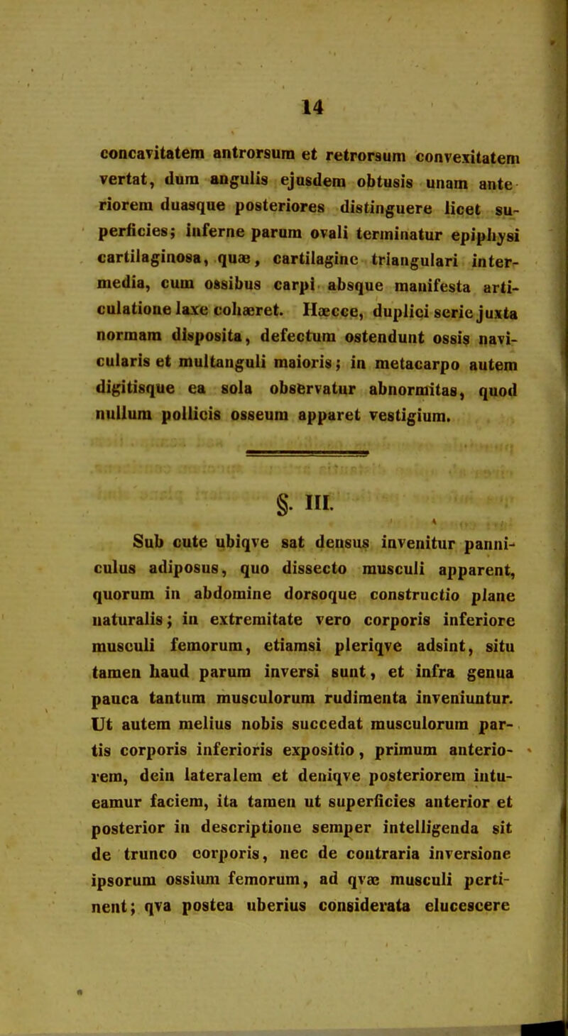 concaTitatem antrorsum et retrorsum convexitatem vertat, dura anguiis ejusdem obtusis unam ante riorem duasque posteriores distinguere licet su- periicies; inferne parum ovali terminatur epipii^si cartilaginosa, quas, cartilaginc triangulari inter- media, cum ossibus carpt absque mauifesta arti- culatione laxe coliaeret. Haecce, duplici scrie juxta normam dlsposita, defectum ostendunt ossis navi- cuiaris et multanguli maioris; in metacarpo autem digitisque ea sola observatur abnormitas, quod nullum poUicis osseum apparet vestigium. §. III. Sub oute ubiqve sat densus invenitur panni- culus adiposus, quo dissecto musculi apparent, quorum in abdomine dorsoque constructio piane uaturalis; in extremitate vero corporis inferiore musculi femorum, etiamsi pleriqve adsint, situ tamen haud parum inversi sunt, et infra genua pauca tantum musculorum rudimenta inveniuntur. Ut autem melius nobis succedat muscuiorum par- tis corporis inferioris expositio, primum anterio- rem, deiu iateralem et deniqve posteriorem intu- eamur faciem, ita tamen ut superiicies anterior et posterior in descriptione semper intelligenda sit de trunco corporis, nec de contraria inversione ipsorum ossium femorum, ad qvae musculi perti- nent; qva postea uberius considerata elucescere