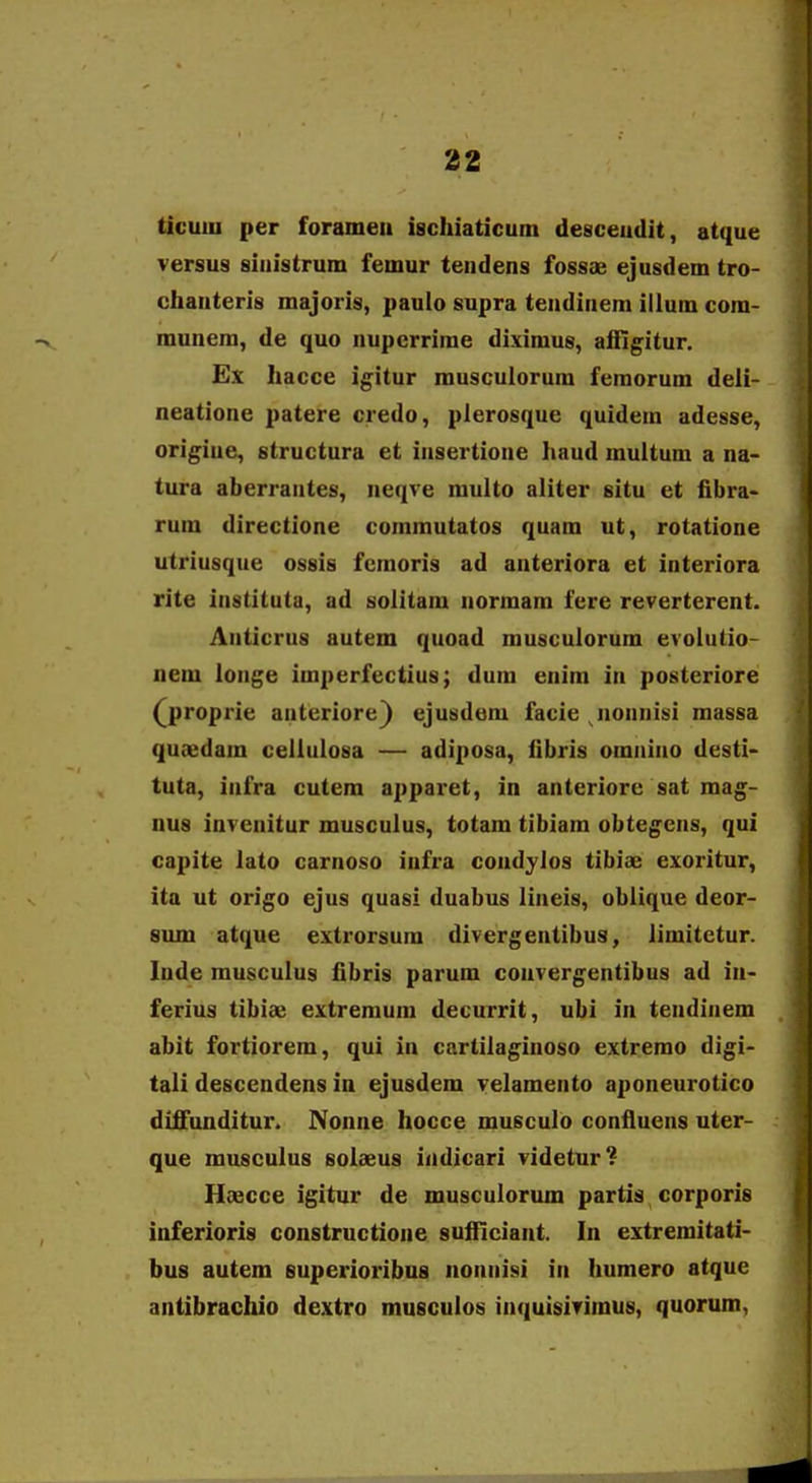 ticum per forameu ischiaticum desceudit, atque versus siuistrum femur tendens fossae ejusdem tro- cliauteris majoris, paulo supra teudinem ilium cora- raunem, de quo nupcrrirae diximus, affigitur. Ex liacce igitur musculorum feraorum deli- neatione jiatere credo, plerosque quidera adesse, origiue, structura et iusertione haud rauitura a ua- tura aberrantes, neqve multo aliter situ et fibra- rum directione coramutatos quam ut, rotatione utriusque ossis fcmoris ad anteriora et interiora rite instituta, ad solitam normam fere reverterent. Anticrus autem quoad musculorum evolutio- nem longe imperfectius; dum enim in posteriore (^proprie anteriore} ejusdem facie nounisi massa quaedam cellulosa — adiposa, fibris omniuo desti- tuta, infra cutem apparet, in anteriore sat mag- nus invenitur musculus, totam tibiam obtegens, qui capite lato carnoso infra coudyios tibiae exoritur, ita ut origo ejus quasi duabus lineis, oblique deor- sum atque extrorsura divcrgentibus, liraitetur. lude rausculus fibris parum convergentibus ad in- ferius tibiae extreraura decurrit, ubi in tendinem abit fortiorem, qui in cartilaginoso extremo digi- tali descendens in ejusdem velamento aponeurotico diffunditur. Nonne hocce musculo confluens utcr- que musculus solaeus indicari videtur? Haecce igitur de musculorum partis corporis inferioris constructione sufiiciant. In extremitati- bus autem superioribus nounisi in humero atque antibrachio dextro musculos inquisivimus, quorum,