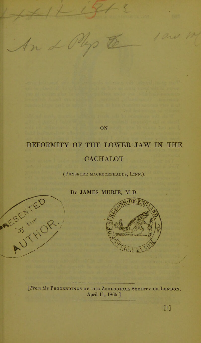ON DEFOEMITY OF THE LOWEE JAW IN THE CACHALOT (Physeter macbocephalus, Linn.). [From the Proceedings of the Zoological Society of London, April 11, 1866.] [I]