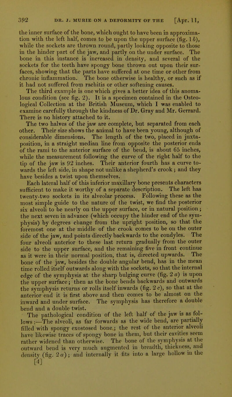 the inner surface of the bone, which ought to have been in approxima- tion with the left half, comes to be upon the upper surface (fig. 1 b), while the sockets are thrown round, partly looking opposite to those in the hinder part of the jaw, and partly on the under surface. The bone in this instance is increased in density, and several of the sockets for the teeth have spongy bone thrown out upon their sur- faces, showing that the parts have suffered at one time or other from chronic inflammation. The bone otherwise is healthy, or such as if it had not suifered from rachitis or other softening causes. The third example is one which gives a better idea of this anoma- lous condition (see fig. 2). It is a specimen contained in the Osteo- logical Collection at the British Museum, which I was enabled to examine carefully through the kindness of Dr. Gray and Mr. Gerrard. There is no history attached to it. The two halves of the jaw are complete, but separated from each other. Their size shows the animal to have been young, although of considerable dimensions. The length of the two, placed in juxta- position, in a straight median line from opposite the posterior ends of the rami to the anterior surface of the bend, is about 65 inches, while the measurement following the curve of the right half to the tip of the jaw is 92 inches. Their anterior fourth has a curve to- wards the left side, in shape not unlike a shepherd's crook ; and they have besides a twist upon themselves. Each lateral half of this inferior maxillary bone presents characters sufficient to make it worthy of a separate description. The left has twenty-two sockets in its alveolar process. Following these as the most simple guide to the nature of the twist, we find the posterior six alveoli to be nearly on the upper surface, or in natural position; the next seven in advance (which occupy the hinder end of the sym- physis) by degrees change from the upright position, so that the foremost one at the middle of the crook comes to be on the outer side of the jaw, and points directly backwards to the condyles. The four alveoli anterior to these last return gradually from the outer side to the upper surface, and the remaining five in front continue as it were in their normal position, that is, directed upwards. The bone of the jaw, besides the double angular bend, has in the mean time rolled itself outwards along with the sockets, so that the internal edge of the symphysis at the sharp bulging curve (fig. 2 a) is upon the upper surface; then as the bone bends backwards and outwards the symphysis returns or rolls itself inwards (fig. 2 e), so that at tlie anterior end it is first above and then comes to be almost on the inward and under surface. The symphysis has therefore a double bend and a double twist. The pathological condition of the left half of the jaw is as fol- lows :—The alveoli, as far forwards as the wide bend, are partially filled with spongy exostosed bone.; the rest of the anterior alveoli have likewise traces of spongy bone in them, but their cavities seem rather widened than otherwise. The bone of the symphysis at the outward bend is very much augmented in breadth, thickness, and density (fig. 2 a); and internally it fits into a large hollow in the [4]