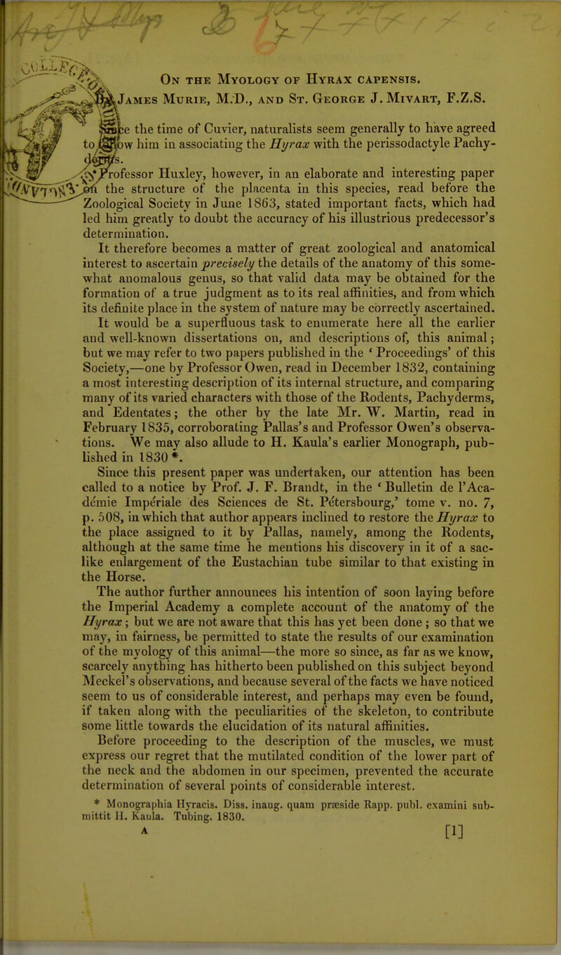 On the Myology of Hyrax capensis. ^James Murie, M.D., and St. George J. Mivart, F.Z.S. c the time of Cuvier, naturalists seem generally to have agreed w him in associating the Hyrax with the perissodactyle Pachy- 's. ofessor Huxley, however, in an elaborate and interesting paper the structure of the placenta in this species, read before the Zoological Society in June 1863, stated important facts, which had led him greatly to doubt the accuracy of his illustrious predecessor's determination. It therefore becomes a matter of great zoological and anatomical interest to ascertain precisely the details of the anatomy of this some- what anomalous genus, so that valid data may be obtained for the formation of a true judgment as to its real affinities, and from which its definite place in the system of nature may be correctly ascertained. It would be a superfluous task to enumerate here all the earlier and well-known dissertations on, and descriptions of, this animal; but we may refer to two papers published in the ' Proceedings' of this Society,—one by Professor Owen, read in December 1832, containing a most interesting description of its internal structure, and comparing many of its varied characters with those of the Rodents, Pachyderms, and Edentates; the other by the late Mr. W. Martin, read in February 1835, corroborating Pallas's and Professor Owen's observa- tions. We may also allude to H. Kaula's earlier Monograph, pub- lished in 1830*. Since this present paper was undertaken, our attention has been called to a notice by Prof. J. F. Brandt, in the ' Bulletin de l'Aca- demie Imperiale des Sciences de St. Petersbourg,' tome v. no. 7, p. 508, in which that author appears inclined to restore the Hyrax to the place assigned to it by Pallas, namely, among the Rodents, although at the same time he mentions his discovery in it of a sac- like enlargement of the Eustachian tube similar to that existing in the Horse. The author further announces his intention of soon laying before the Imperial Academy a complete account of the anatomy of the Hyrax; but we are not aware that this has yet been done ; so that we may, in fairness, be permitted to state the results of our examination of the myology of this animal—the more so since, as far as we know, scarcely anything has hitherto been published on this subject beyond Meckel's observations, and because several of the facts we have noticed seem to us of considerable interest, and perhaps may even be found, if taken along with the peculiarities of the skeleton, to contribute some little towards the elucidation of its natural affinities. Before proceeding to the description of the muscles, we must express our regret that the mutilated condition of the lower part of the neck and the abdomen in our specimen, prevented the accurate determination of several points of considerable interest. * Monographia Hyracis. Diss, inaug. qiiam praeside Rapp. publ. examini sub- mittit H. Kaula. Tubing. 1830. [1]