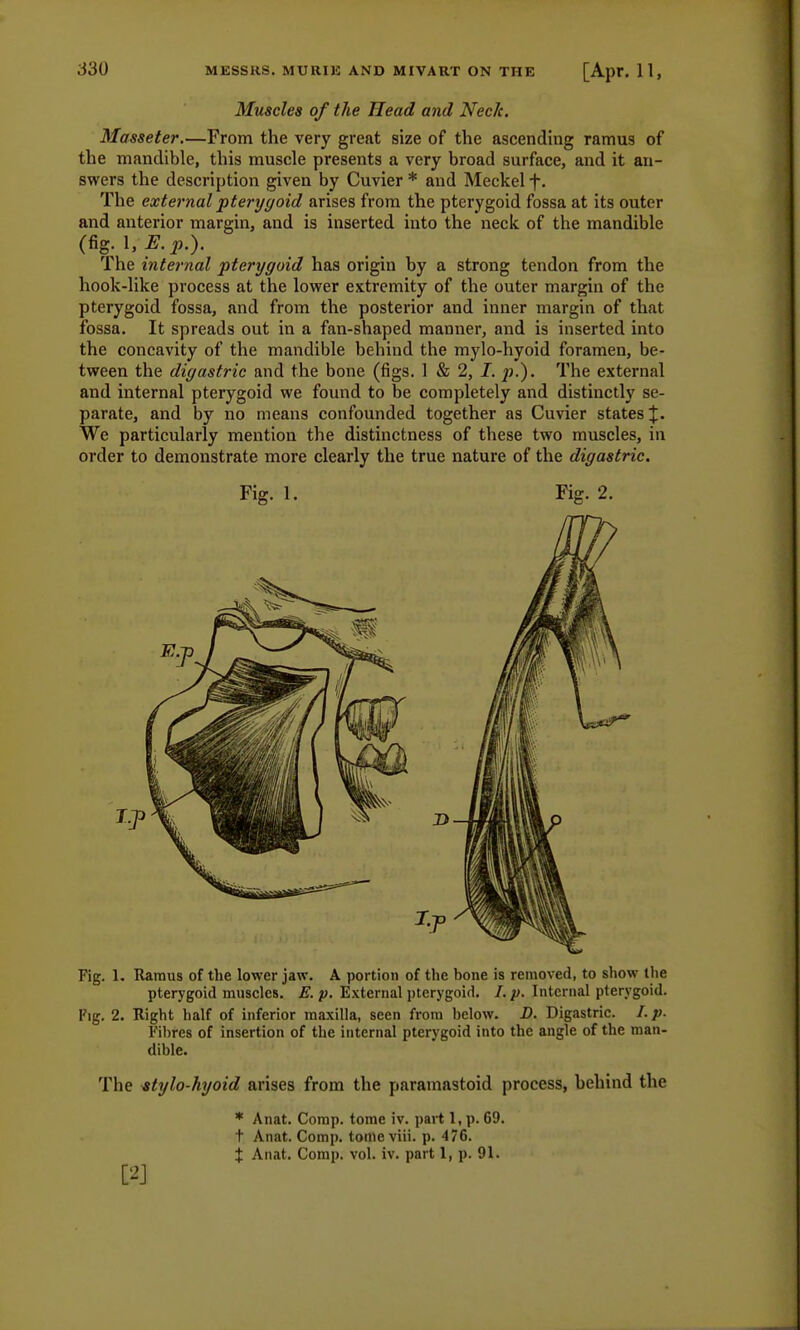 Muscles of the Head and Neck. Masseter.—From the very great size of the ascending ramus of the mandible, this muscle presents a very broad surface, and it an- swers the description given by Cuvier * and Meckel f. The external pterygoid arises from the pterygoid fossa at its outer and anterior margin, and is inserted into the neck of the mandible (fig. UK p.). The internal pterygoid has origin by a strong tendon from the hook-like process at the lower extremity of the outer margin of the pterygoid fossa, and from the posterior and inner margin of that fossa. It spreads out in a fan-shaped manner, and is inserted into the concavity of the mandible behind the mylo-hyoid foramen, be- tween the digastric and the bone (figs. 1 & 2, J. p.). The external and internal pterygoid we found to be completely and distinctly se- parate, and by no means confounded together as Cuvier states J. We particularly mention the distinctness of these two muscles, in order to demonstrate more clearly the true nature of the digastric. Fig. 1. Fig. 2. Fig. L Ramus of the lower jaw. A portion of the bone is removed, to show the pterygoid muscles. E. p. External pterygoid. /. p. Internal pterygoid. Fig. 2. Right half of inferior maxilla, seen from below. D. Digastric. I. p. Fibres of insertion of the internal pterygoid into the angle of the man- dible. The stylo-hyoid arises from the paramastoid process, behind the * Anat. Comp. tome iv. part 1, p. 69. t Anat. Comp. tome viii. p. 476. X Anat. Comp. vol. iv. part 1, p. 91.