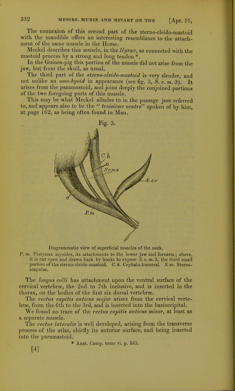 The connexion of this second part of the stemo-cleido-mastoid with the mandible offers an interesting resemblance to the attach- ment of the same muscle in the Horse. Meckel describes this muscle, in the Hyraco, as connected with the mastoid process by a strong and long tendon *. In the Guinea-pig this portion of the muscle did notarise from the jaw, but from the skull, as usual. The third part of the stemo-cleido-mastoid is very slender, and not unlike an omo-hyoid in appearance (see fig. 3, S. c. m. 3). It arises from the paramastoid, and joins deeply the conjoined portions of the two foregoing parts of this muscle. This may be what Meckel alludes to in the passage just referred to, and appears also to be the  troisihne ventre' spoken of by him, at page 1(32, as being often found in Man. Fig. 3. Diagrammatic view of superficial muscles of the neck. P. m. Platysma myoides, its attachments to the lower jaw and forearm ; above, it is cut open and drawn hack hy hooks to expose 5. c. m. 3, the third small portion of the sterno-cleido-mastoid. C. h. Cephalo-humeral. S. sc. Sterno- scapular. The longus colli has attachment upon the ventral surface of the cervical vertebrae, the 2nd to 7th inclusive, and is inserted in the thorax, on the bodies of the first six dorsal vertebrae. The rectus capitis anticus major arises from the cervical verte- brae, from the Cth to the 3rd, and is inserted into the basioccipital. We found no trace of the rectus capitis anticus minor, at least as a separate muscle. The rectus lateralis is well developed, arising from the transverse process of the atlas, chiefly its anterior surface, and being inserted into the paramastoid. * Anat. Comp. tome vi. p. 1G3. [4]