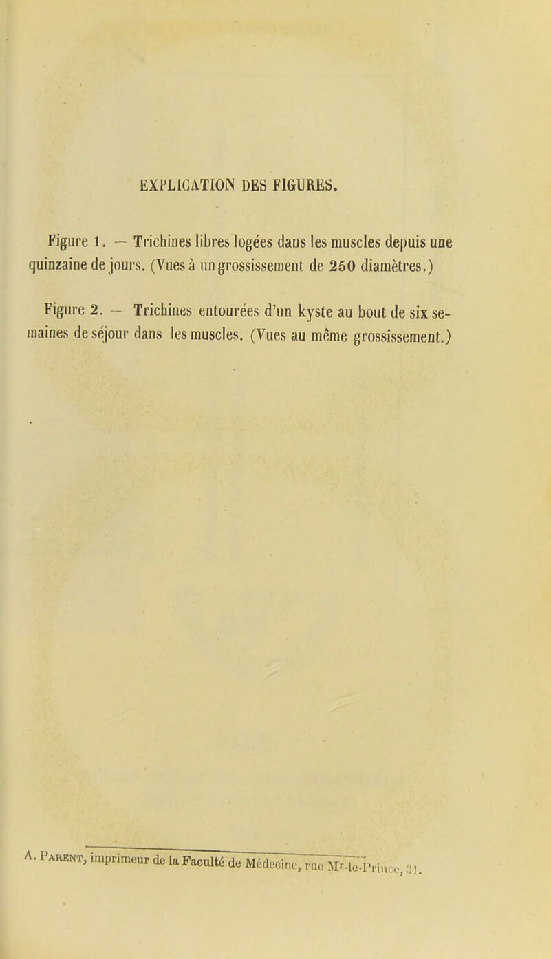 EXPLICATION DES FIGURES. Figure 1. — Trichines libres logées daus les muscles depuis une quinzaine de jours. (Vues à un grossissement de 250 diamètres.) Figure 2. - Trichines entourées d'un kyste au bout de six se- maines de séjour dans les muscles. (Vues au même grossissement.) A- PaRENT, imprimeur do la Faculté de Médecin,., ru. MMo-ï «rince.