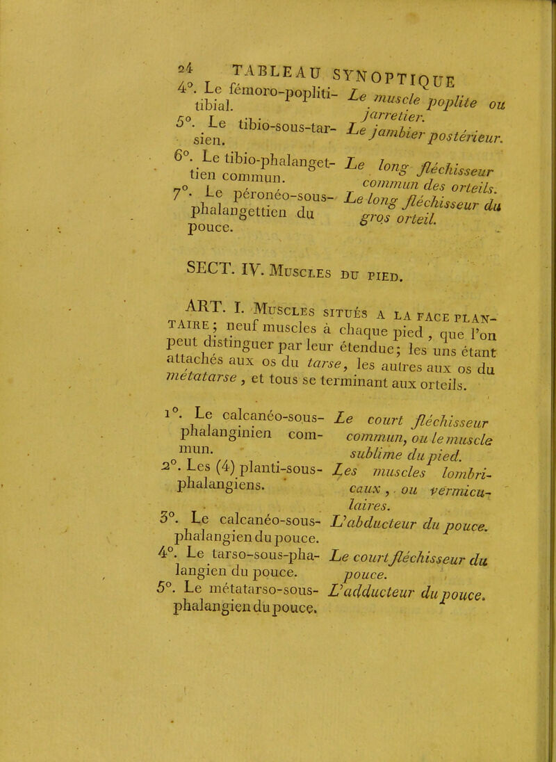 TABLEAU 4'^. Le fémoro-popliti tibial, tibio-sous-tar sien. 6°. ^ Le tibio-phalanget- tien commun. 7°- be péronéo-sous- phalangettien du pouce. synoptique Le muscle poj)lite ou jarretier. Le jamhier postérieur. Le long fléchisseur commun des orteils. Le long fléchisseur du gros orteil. SECT. ly. Muscles DU PIED. art. I. Muscles situés a la face plan- ée; neuf muscles à chaque pied , que l’on ?ttarh^f les uns étant métatarse , et tous se terminant aux orteils. 1®. Le calcanéo-sous- phalanginien com- mun. ,2°. Les (4) planti-sous- phalangiens. 3Y Le calcanéo-sous- phaiangien du pouce. 4°. Le tarso-sous-pha- langien du pouce. Le métatarso-sous- phalangien du pouce. Le court fléchisseur commun^ ou le muscle sublime du pied. Les muscles lombrU eaux , . ou vérmicu-' laires. L^abducteur du pouce. Le courtfléchisseur du pouce, , L add/Ucteur du pouce» t