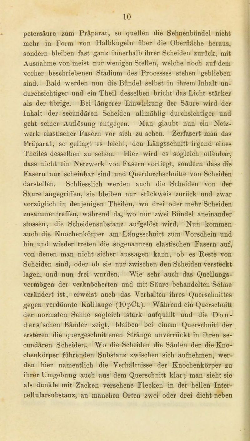 petersäure zum Präparat, so quellen die Sehnenbündel nicht mehr in Form von Halbkugeln über die Oberfläche heraus, sondern bleiben fast ganz innerhalb ihrer Scheiden zurück, mit Ausnahme von meist nur wenigen Stellen, welche noch auf dem vorher beschriebenen Stadium des Processes stehen geblieben sind. Bald werden nun die Bündel selbst in ihrem Inhalt un- durchsichtiger und ein Theil desselben bricht das Licht stärker als der übrige. Bei längerer Einwirkung der Säure wird der Inhalt der secundären Scheiden allmählig durchsichtiger und geht seiner Auflösung entgegen. Man glaubt nun ein Netz- werk elastischer Fasern vor sich zu sehen. Zerfasert man das Präparat, so gelingt es leicht, den Längsschnitt irgend eines Theiles desselben zu sehen. Hier wird es sogleich offenbar, dass nicht ein Netzwerk von Fasern vorliegt, sondern dass die Fasern nur scheinbar sind und Querdurchschnitte von Scheiden darstellen. Schliesslich werden auch die Scheiden von der Säure angegriffen, sie bleiben nur stückweis zurück und zwar vorzüglich in denjenigen Theilen, wo drei oder mehr Scheiden zusammentreffen, während da, wo nur zwei Bündel aneinander stossen, die Scheidensubstanz aufgelöst wird. Nun kommen auch die Knochenkörper am Längsschnitt zum Vorschein und hin und wieder treten die sogenannten elastischen Fasern auf, von denen man nicht sicher aussagen kann, ob es Reste von Scheiden sind, oder ob sie nur zwischen den Scheiden versteckt lagen, und nun frei wurden. Wie sehr auch das Quellungs- vermögen der verknöcherten und mit Säure behandelten Sehne verändert ist, erweist auch das Verhalten ihres Querschnittes gegen verdünnte Kalilauge (lOpCt.). Während ein Querschnitt der normalen Sehne sogleich .stark aufquillt und die Don- ders'schen Bänder zeigt, bleiben bei einem Querschnitt der ersteren die quergeschnittenen Stränge unverrückt in ihren se- cundären Scheiden. Wo die Scheiden die Säulen der die Kno- chenkörper führenden Substanz zwischen sich aufnehmen, wer- den hier namentlich die Verhältnisse der Knocbenkörper zu ihrer Umgebung auch aus dem Querschnitt klar; man sieht sie als dunkle mit Zacken versehene Flecken in der hellen Inter- cellularsubstanz, an manchen Orten zwei oder drei dicht neben