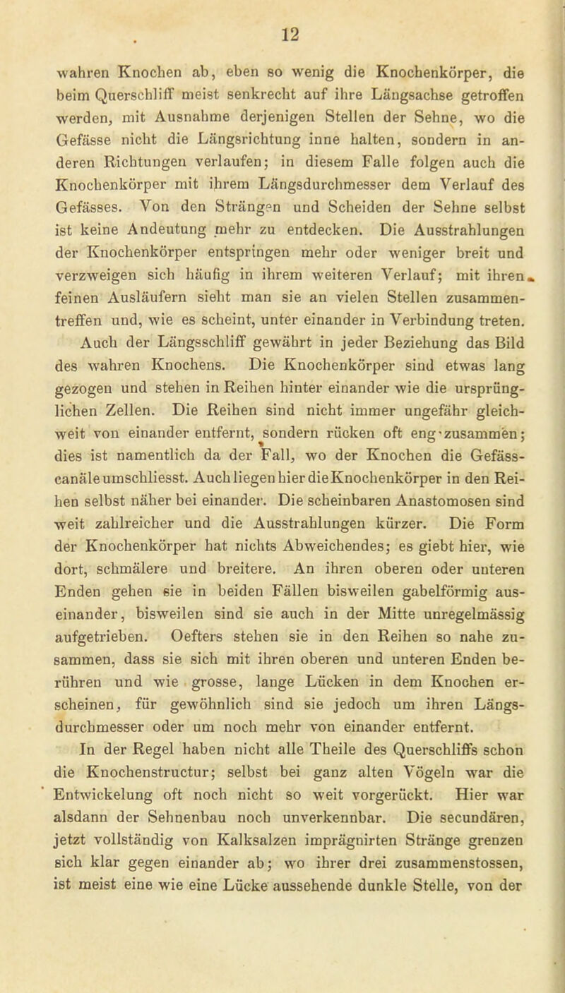 wahren Knochen ab, eben so wenig die Knochenkörper, die beim Querschliff meist senkrecht auf ihre Längsachse getroffen werden, mit Ausnahme derjenigen Stellen der Sehne, wo die Gefässe nicbt die Längsrichtung inne halten, sondern in an- deren Richtungen verlaufen; in diesem Falle folgen auch die Knocbenkörper mit ihrem Längsdurchmesser dem Verlauf des Gefässes. Von den Strängen und Scheiden der Sehne selbst ist keine Andeutung mehr zu entdecken. Die Ausstrahlungen der Knochenkörper entspringen mehr oder weniger breit und verzweigen sich häufig in ihrem weiteren Verlauf; mit ihren, feinen Ausläufern sieht man sie an vielen Stellen zusammen- treffen und, wie es scheint, unter einander in Verbindung treten. Auch der Längsschliff gewährt in jeder Beziehung das Bild des wahren Knochens. Die Knochenkörper sind etwas lang gezogen und stehen in Reihen hinter einander wie die ursprüng- lichen Zellen. Die Reihen sind nicht immer ungefähr gleich- weit von einander entfernt, sondern rücken oft eng • zusammen; dies ist namentlich da der Fall, wo der Knochen die Gefäss- canäleumschliesst. Auch liegen hier die Knochenkörper in den Rei- hen selbst näher bei einander. Die scheinbaren Anastomosen sind weit zahlreicher und die Ausstrahlungen kürzer. Die Form der Knochenkörper hat nichts Abweichendes; es giebt hier, wie dort, schmälere und breitere. An ihren oberen oder unteren Enden gehen ßie in beiden Fällen bisweilen gabelförmig aus- einander, bisweilen sind sie auch in der Mitte unregelmässig aufgetrieben. Oefters stehen sie in den Reihen so nahe zu- sammen, dass sie sich mit ihren oberen und unteren Enden be- rühren und wie grosse, lange Lücken in dem Knochen er- scheinen, für gewöhnlich sind sie jedoch um ihren Längs- durchmesser oder um noch mehr von einander entfernt. In der Regel haben nicht alle Theile des Querschliffs schon die Knochenstructur; selbst bei ganz alten Vögeln war die Entwickelung oft noch nicht so weit vorgerückt. Hier war alsdann der Sehnenbau noch unverkennbar. Die secundären, jetzt vollständig von Kalksalzen imprägnirten Stränge grenzen sich klar gegen einander ab; wo ihrer drei zusammenstossen, ist meist eine wie eine Lücke aussehende dunkle Stelle, von der