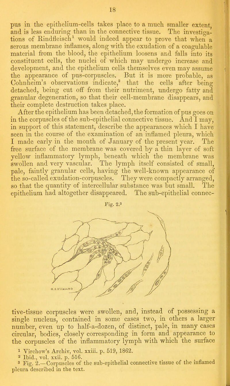 pus in the epithelium-cells takes place to a much smaller extent, and is less enduring than in the connective tissue. The investiga- tions of Rindfleisch^ would indeed appear to prove that when a serous membrane inflames, along with the exudation of a coagulable material from the blood, the epithelium loosens and falls into its constituent cells, the nuclei of which may undergo increase and development, and the epithelium cells themselves even may assume the appearance of pus-corpuscles. But it is more probable, as Cohnheim's observations indicate,^ that the cells after being detached, being cut off from their nutriment, undergo fatty and granular degeneration, so that their cell-membrane disappears, and their complete destruction takes place. After the epithelium has been detached, the formation of pus goes on in the corpuscles of the sub-epithelial connective tissue. And I may, in support of this statement, describe the appearances which I have seen in the course of the examination of an inflamed pleura, which I made early in the month of January of the present year. The free surface of the membrane was covered by a thin layer of soft yellow inflammatory lymph, beneatli which the membrane was swollen and very vascular. The lymph itself consisted of small, pale, faintly granular cells, having the well-known appearance of the so-called exudation-corpuscles. They were compactly arranged, so that the quantity of intercellular substance was but small. The epithelium had altogether disappeared. The sub-epithelial connec- Pig. 2.3 tive-tissue corpuscles were swollen, and, instead of possessing a single nucleus, contained in some cases two, in others a larger number, even up to half-a-dozen, of distinct, pale, in many cases circular, bodies, closely corresponding in form and appearance to the corpuscles of the inflammatory lymph with which the surface 1 Virchow's Archiv, vol. xxiii. p. 519, 1862. 2 Ibid., vol. xxii. p. 516. 3 Fig. 2.—Corpuscles of the sub-epithelial connective tissue of the inflamed pleura described in the text.