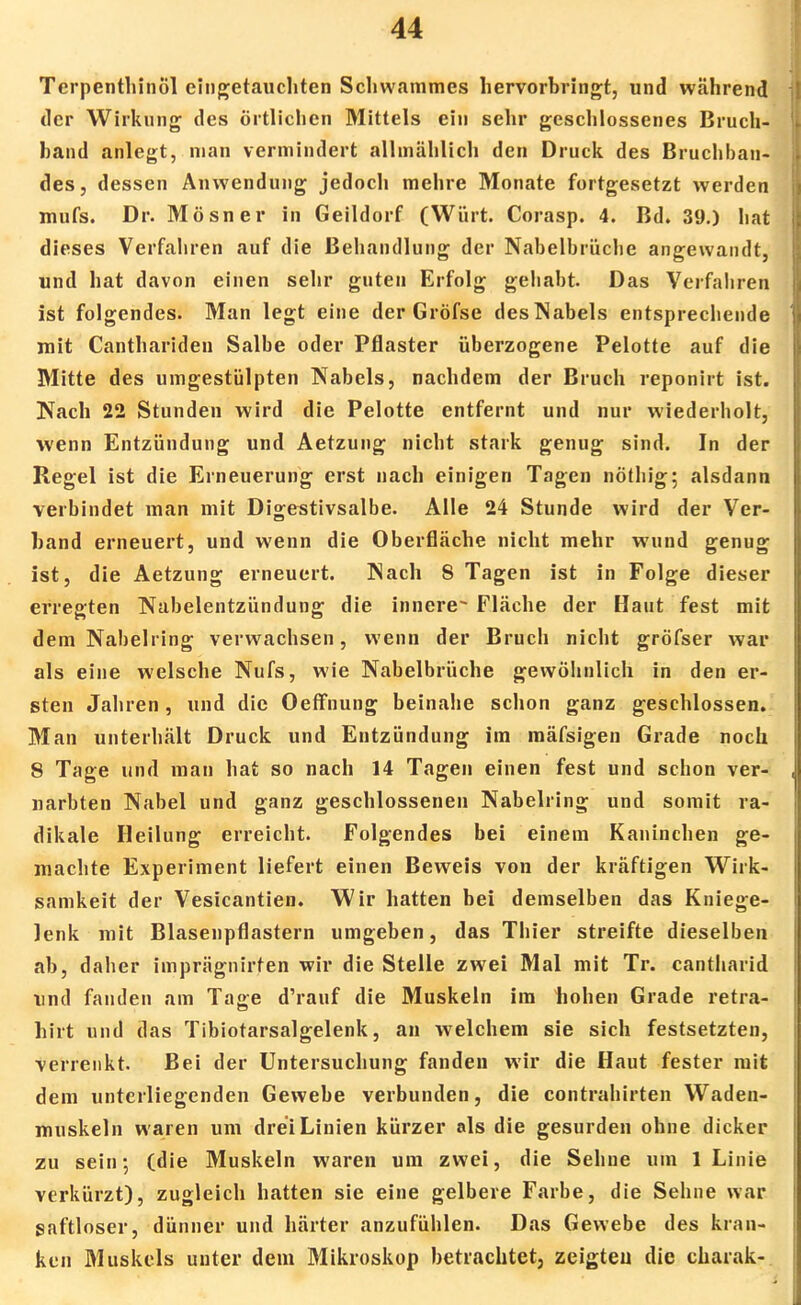 Terpenthinöl eingetauchten Schwammes hervorbringt, und wahrend der Wirkung des örtlichen Mittels ein sehr geschlossenes Bruch- hand anlegt, man vermindert allmählich den Druck des Bruchban- des, dessen Anwendung jedoch mehre Monate fortgesetzt werden mufs. Dr. Mösner in Geildorf (Würt. Corasp. 4. Bd. 39.) hat dieses Verfahren auf die Behandlung der Nabelbruche angewandt, und hat davon einen sehr guten Erfolg gehabt. Das Verfahren ist folgendes. Man legt eine der Gröfse des Nabels entsprechende mit Canthariden Salbe oder Pflaster überzogene Pelotte auf die Mitte des umgestülpten Nabels, nachdem der Bruch reponirt ist. Nach 22 Stunden wird die Pelotte entfernt und nur wiederholt, wenn Entzündung und Aetzung nicht stark genug sind. In der Regel ist die Erneuerung erst nach einigen Tagen nöthig; alsdann verbindet man mit Di°;estivsalbe. Alle 24 Stunde wird der Ver- band erneuert, und wenn die Oberfläche nicht mehr wund genug ist, die Aetzung erneuert. Nach 8 Tagen ist in Folge dieser erregten Nabelentzündung die innere^ Fläche der Haut fest mit dem Nabelring verwachsen, wenn der Bruch nicht gröfser war als eine welsche Nufs, wie Nabelbrüche gewöhnlich in den er- sten Jahren, und die Oeffnung beinahe schon ganz geschlossen. Man unterhält Druck und Entzündung im mäfsigen Grade noch 8 Tage und man hat so nach 14 Tagen einen fest und schon ver- narbten Nabel und ganz geschlossenen Nabelring und somit ra- dikale Heilung erreicht. Folgendes bei einem Kaninchen ge- machte Experiment liefert einen Beweis von der kräftigen Wirk- samkeit der Vesicantien. Wir hatten bei demselben das Kniege- lenk mit Blasenpflastern umgeben, das Thier streifte dieselben ab, daher imprägnirten wir die Stelle zwei Mal mit Tr. cantharid und fanden am Tage d'rauf die Muskeln im hohen Grade retra- hirt und das Tibiotarsalgelenk, an welchem sie sich festsetzten, verrenkt. Bei der Untersuchung fanden wir die Haut fester mit dem unterliegenden Gewebe verbunden, die contrahirten Waden- muskeln waren um drei Linien kürzer als die gesurden ohne dicker zu sein-, (die Muskeln waren um zwei, die Sehne um 1 Linie verkürzt), zugleich hatten sie eine gelbere Farbe, die Sehne war saftloser, dünner und härter anzufühlen. Das Gewebe des kran- ken Muskels unter dem Mikroskop betrachtet, zeigten die charak-