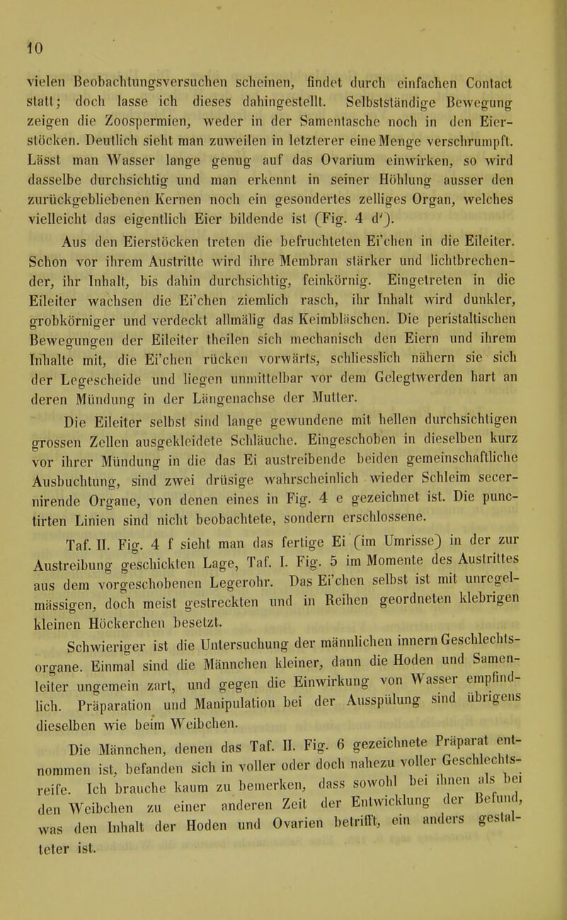 vielen Beobachtungsversucheii scheinen, findet durch einfachen Contact statt; docli lasse ich dieses dahingestellt. Selbstständige Bewegung zeigen die Zoospermien, weder in der Samentasche noch in den Eier- stöcken. Deutlich sieht man zuweilen in letzterer eine Menge verschrumpft. Lässt man Wasser lange genug auf das Ovarium einwirken, so wird dasselbe durchsichtig und man erkennt in seiner Höhlunff ausser den zurückgebliebenen Kernen noch ein gesondertes zelliges Organ, welches vielleicht das eigentlich Eier bildende ist (Fig. 4 d'}. Aus den Eierstöcken treten die befruchteten Ei'chen in die Eileiter. Schon vor ihrem Austritte wird ihre Membran stärker und lichtbrechen- der, ihr Inhalt, bis dahin durchsichtig, feinkörnig. Eingetreten in die Eileiter wachsen die Ei'chen ziemhch rasch, ihr Inhalt wird dunkler, grobkörniger und verdeckt allmähg das Keimbläschen. Die peristaltischen Beweeunofen der Eileiter theilen sich mechanisch den Eiern und ihrem Inhalte mit, die Ei'chen rücken vorwärts, schhesshch nähern sie sich der Legescheide und liegen unmittelbar vor dem Gelegtwerden hart an deren Mündung in der Längenachse der Mutter. Die Eileiter selbst sind lange gewundene mit hellen durchsichtigen grossen Zellen ausgekleidete Schläuche. Eingeschoben in dieselben kurz vor ihrer Mündung in die das Ei austreibende beiden gemeinschaftHche Ausbuchtung, sind zwei drüsige wahrscheinlich wieder Schleim secer- nirende Organe, von denen eines in Fig. 4 e gezeichnet ist. Die punc- tirten Linien sind nicht beobachtete, sondern erschlossene. Taf. II. Fig. 4 f sieht man das fertige Ei (im Umrisse) in der zur Austreibung geschickten Lage, Taf. I. Fig. 5 im Momente des Austrittes aus dem vorgeschobenen Legerohr. Das Ei'chen selbst ist mit unregel- mässigen, doch meist gestreckten und in Reihen geordneten klebrigen kleinen Höckerchen besetzt. Schwieriger ist die Untersuchung der männlichen innern Geschlechts- orcrane. Einmal sind die Männchen kleiner, dann die Hoden und Samen- leiter ungemein zart, und gegen die Einwirkung von Wasser empfind- lich. Präparation und Manipulation bei der Ausspülung smd übrigens dieselben wie beim Weibchen. Die Männchen, denen das Taf. II. Fig. 6 gezeichnete Präparat ent- nommen ist, befanden sich in voller oder doch nahezu voller Geschlechts- reife. Ich brauche kaum zu bemerken, dass sowohl bei ihnen als bei den Weibchen zu einer anderen Zeit der Entwicklung der Befund, was den Inhalt der Hoden und Ovarien betrifft, ein anders gestal- leter ist.