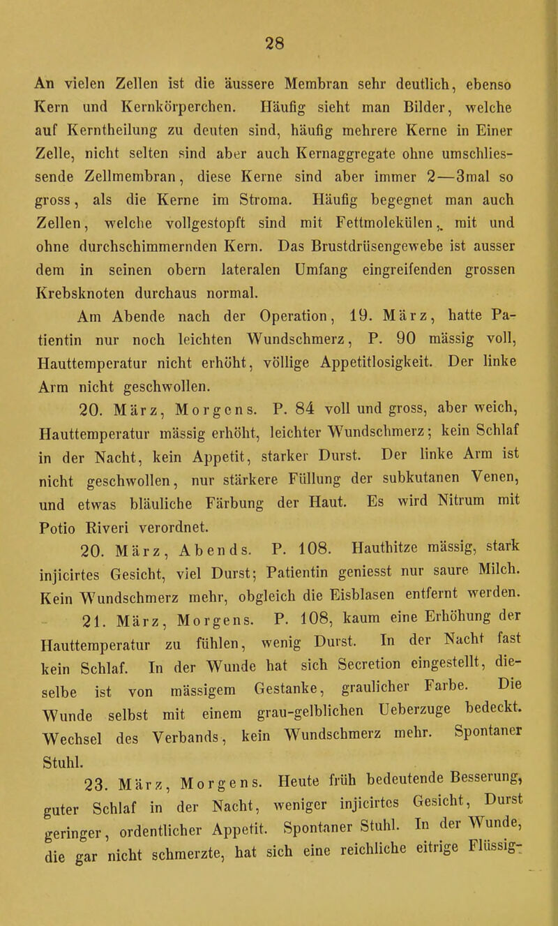 An vielen Zellen ist die äussere Membran sehr deutlich, ebenso Kern und Kernkörperchen. Häufig sieht man Bilder, welche auf Kerntheilung zu deuten sind, häufig mehrere Kerne in Einer Zelle, nicht selten sind aber auch Kernaggregate ohne umschlies- sende Zellmembran, diese Kerne sind aber immer 2—3mal so gross, als die Kerne im Stroma. Häufig begegnet man auch Zellen, welche vollgestopft sind mit Fettmolekülenmit und ohne durchschimmernden Kern. Das Brustdrüsengewebe ist ausser dem in seinen obern lateralen Umfang eingreifenden grossen Krebsknoten durchaus normal. Am Abende nach der Operation, 19. März, hatte Pa- tientin nur noch leichten Wundschmerz, P. 90 mässig voll, Hauttemperatur nicht erhöht, völlige Appetitlosigkeit. Der linke Arm nicht geschwollen. 20. März, Morgens. P. 84 voll und gross, aberweich, Hautteraperatur mässig erhöht, leichter Wundschmerz; kein Schlaf in der Nacht, kein Appetit, starker Durst. Der linke Arm ist nicht geschwollen, nur stärkere Füllung der subkutanen Venen, und etwas bläuliche Färbung der Haut. Es wird Nitrum mit Potio Riveri verordnet. 20. März, Abends. P. 108. Hauthitze mässig, stark injicirtes Gesicht, viel Durst; Patientin geniesst nur saure Milch. Kein Wundschmerz mehr, obgleich die Eisblasen entfernt werden. 21. März, Morgens. P. 108, kaum eine Erhöhung der Hauttemperatur zu fühlen, wenig Durst. In der Nacht fast kein Schlaf. In der Wunde hat sich Secretion eingestellt, die- selbe ist von mässigem Gestanke, graulicher Farbe. Die Wunde selbst mit einem grau-gelblichen Ueberzuge bedeckt. Wechsel des Verbands, kein Wundschraerz mehr. Spontaner Stuhl. 23. März, Morgens. Heute früh bedeutende Besserung, guter Schlaf in der Nacht, weniger injicirtes Gesicht, Durst geringer, ordentlicher Appetit. Spontaner Stuhl. In der Wunde, die gar nicht schmerzte, hat sich eine reichliche eitrige Flüssig-