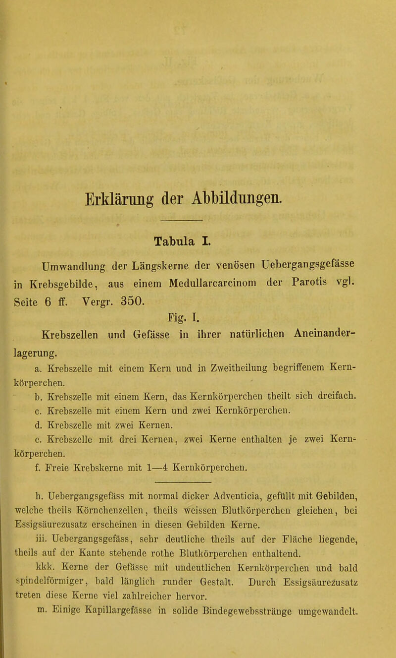 Erklärung der Abbildungen. Tabula I. Umwandlung der Längskerne der venösen Uebergangsgefässe in Krebsgebilde, aus einem Medullarcarcinom der Parotis vgl. Seite 6 ff, Vergr. 350. Fig. I. Krebszellen und Gefässe in ihrer natürlichen Aneinander- lagerung. a. Krebszelle mit einem Kern und in Zweitheilung begriffenem Kern- körpercben. b. Krebszelle mit einem Kern, das Kernkörperchen theilt sich dreifach. c. Krebszelle mit einem Kern und zwei Kernkörperchen. d. Krebszelle mit zwei Kernen. e. Krebszelle mit drei Kernen, zwei Kerne enthalten je zwei Kern- körperchen. f. Freie Krebskerne mit 1—4 Kernkörperchen. h. Uebergangsgefäss mit normal dicker Adventicia, gefüllt mit Gebilden, welche theils Körnchenzellen, theils weissen Blutkörperchen gleichen, bei Essigsäurezusatz erscheinen in diesen Gebilden Kerne. iii. Uebergangsgefäss, sehr deutliche theils auf der Fläche liegende, theils auf der Kante stehende rothe Blutkörperchen enthaltend. kkk. Kerne der Gefässe mit undeutlichen Kernkörperchen und bald spindelförmiger, bald länglich runder Gestalt. Durch Essigsäure^usatz treten diese Kerne viel zahlreicher hervor. m. Einige Kapillargefässe in solide Bindegewebssträuge umgewandelt.