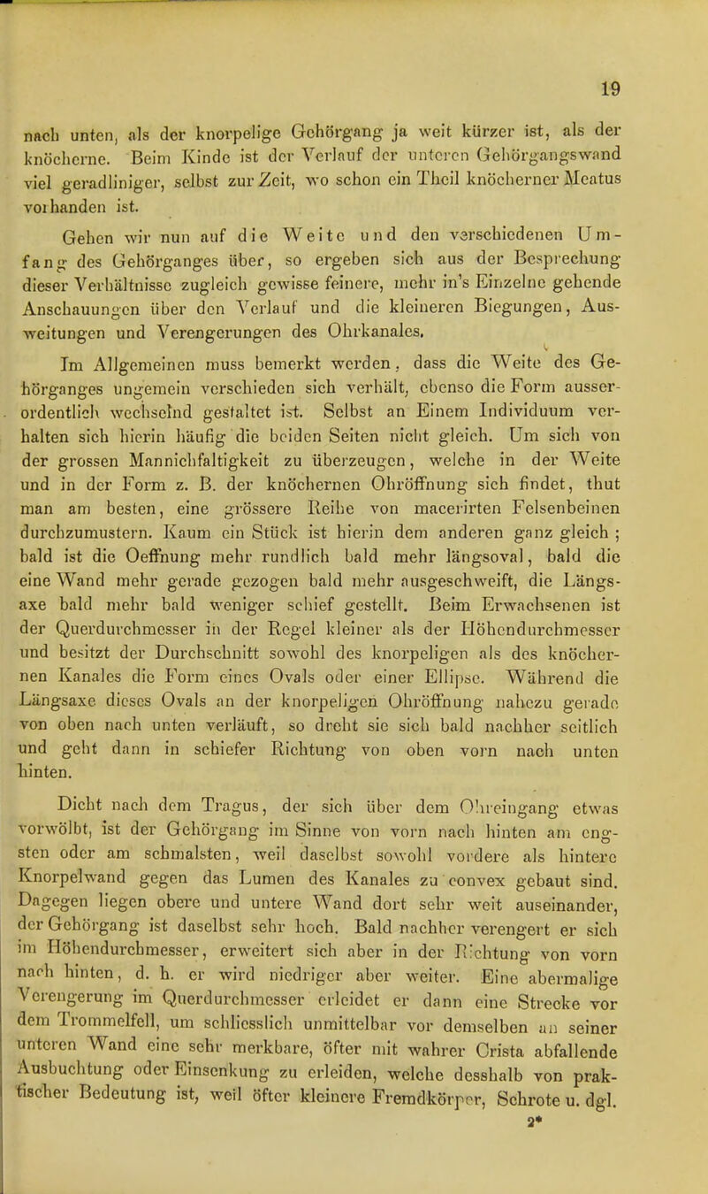 nach unten, als der knorpelige Gehörgang ja weit kürzer ist, als der knöcherne. Beim Kinde ist der Verlauf der unteren Gehörgangswand viel geradliniger, selbst zur Zeit, wo schon ein Thcil knöcherner Meatus voi banden ist. Gehen wir nun auf die Weite und den verschiedenen Um- fang des Gehörganges über, so ergeben sich aus der Besprechung dieser Verbältnissc zugleich gewisse feinere, mehr in's Einzelne gehende Anschauungen über den Verlauf und die kleineren Biegungen, Aus- weitungen und Verengerungen des Ohrkanales. Im Allgemeinen muss bemerkt werden, dass die Weite des Ge- hörganges ungemein verschieden sich verhält, ebenso die Form ausser- ordentlich wechselnd gestaltet ist. Selbst an Einem Individuum ver- halten sich hierin häufig die beiden Seiten nicht gleich. Um sich von der grossen Mannichfaltigkeit zu überzeugen, welche in der Weite und in der Form z. B. der knöchernen OhröfFnung sich findet, thut man am besten, eine grössere Reihe von macerirten Felsenbeinen durchzumustern. Kaum ein Stück ist hierin dem anderen ganz gleich ; bald ist die OefiViung mehr rundlich bald mehr längsoval, bald die eine Wand mehr gerade gezogen bald mehr ausgeschweift, die Längs- axe bald mehr bald weniger schief gestellt. Beim Erwachsenen ist der Querduvchmcsser in der Regel kleiner als der Höbendurchmesser und besitzt der Durchschnitt sowohl des knorpeligen als des knöcher- nen Kanales die Form eines Ovals oder einer Ellipse. Während die Längsaxe dieses Ovals an der knorpeligen Ohröffnung nahezu gerade von oben nach unten verläuft, so dreht sie sich bald nachher seitlich und geht dann in schiefer Richtung von oben vorn nach unten liinten. Dicht nacli dem Tragus, der sich über dem Olueingang etwas vorwölbt, ist der Gehörgang im Sinne von vorn nach hinten am eng- sten oder am schmälsten, weil daselbst sowohl vordere als hintere Knorpelwand gegen das Lumen des Kanales zu convex gebaut sind. Dagegen liegen obere und untere Wand dort sehr weit auseinander, der Gehörgang ist daselbst sehr hoch. Bald nachher verengert er sich im Höbendurchmesser, erweitert sich aber in der Richtung von vorn nach hinten, d. h. er wird niedriger aber weiter. Eine abermalige Verengerung im Querdurchmesser erleidet er dann eine Strecke vor dem Trommelfell, um schliesslich unmittelbar vor demselben an seiner unteren Wand eine sehr merkbare, öfter mit wahrer Crista abfallende Ausbuchtung oder Einsenkung zu erleiden, welche desshalb von prak- tischer Bedeutung ist, weil öfter kleinere Fremdkörper, Schrote u. dgl. 2*