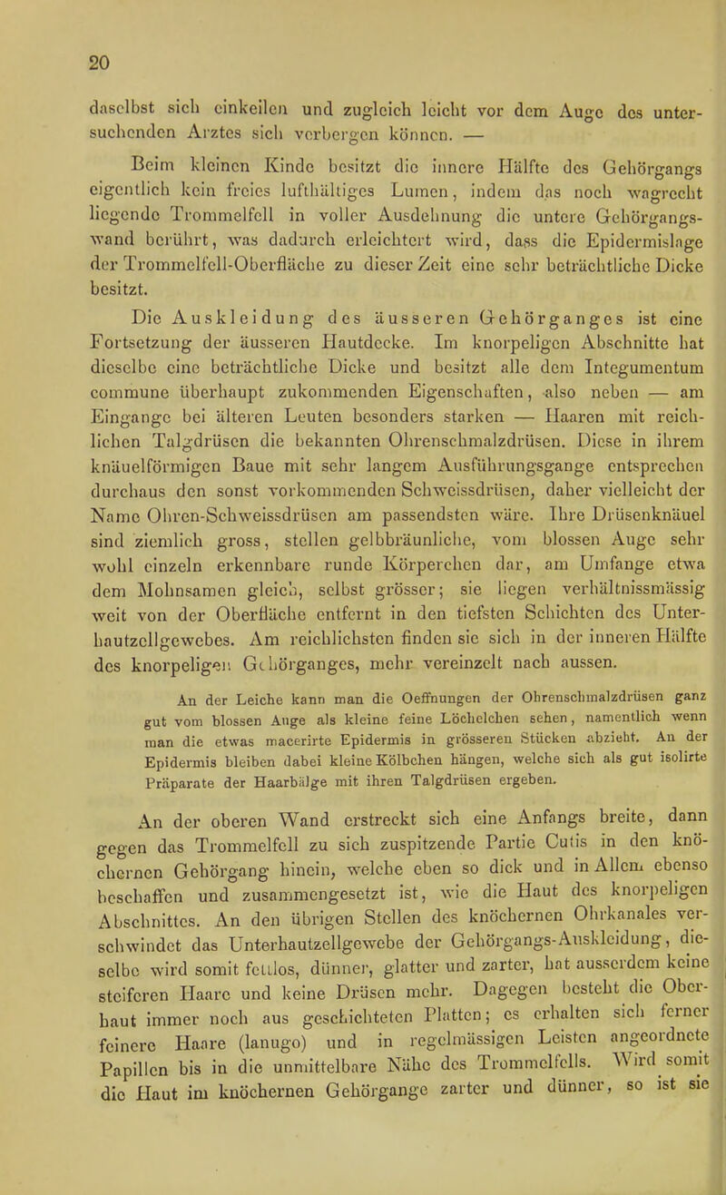 daselbst sich einkeilen und zugleich leicht vor dem Auge des unter- suchenden Arztes sich verbergen können. — Beim kleinen Kinde besitzt die innere Hälfte des Gehörgangs eigentlich kein freies lufthaltiges Lumen, indem das noch wagrecht liegende Trommelfell in voller Ausdehnung die untere Gehöi-gangs- wand berührt, was dadurch erleichtert wird, da,ss die Epidermislage der Trommelfell-Oberfläche zu dieser Zeit eine sehr beträchtliche Dicke besitzt. Die Auskleidung des äusseren Gehörganges ist eine Fortsetzung der äusseren Hautdecke. Im knorpeligen Abschnitte hat dieselbe eine beträchtliche Dicke und besitzt alle dem Integumentum commune überhaupt zukommenden Eigenschaften, also neben — am Eingänge bei älteren Leuten besonders starken — Haaren mit reich- lichen Talgdrüsen die bekannten Ohrenschmaizdrüsen. Diese in ihrem knäuelförmigen Baue mit sehr langem Ausführungsgange entsprechen durchaus den sonst vorkommenden Schweissdrüsen, daher vielleicht der Name Ohrcn-Schweissdrüsen am passendsten wäre. Ihre Drüsenknäuel sind ziemlich gross, stellen gelbbräunliche, vom blossen Auge sehr wohl einzeln erkennbare runde Körperchen dar, am Umfange etwa dem Mohnsamen gleich, selbst grösser; sie liegen verhältnissmässig weit von der Obertiäche entfernt in den tiefsten Schichten des Unter- hautzcUgewebes. Am reichlichsten finden sie sich in der inneren Hälfte des knorpeligen Gehörganges, mehr vereinzelt nach aussen. An der Leiche kann man die Oeifnungen der Olirensclimalzdrüsen ganz gut vom blossen Auge als kleine feine Löchclcben sehen, namentlich wenn man die etwas macerirte Epidermis in grösseren Stücken abzieht. An der Epidermis bleiben dabei kleine Kölbchen hängen, welche sich als gut isolirte Präparate der HaarbiiJge mit ihren Talgdrüsen ergeben. An der oberen Wand erstreckt sich eine x\nfangs breite, dann gegen das Trommelfell zu sich zuspitzende Partie Cutis in den knö- chernen Gehörgang hinein, welche eben so dick und in Allem ebenso beschaffen und zusammengesetzt ist, wie die Haut des knorpeligen Abschnittes. An den übrigen Stellen des knöchernen Ohrkanales ver- schwindet das Unterhautzellgewebe der Gehörgangs-Auskleidung, die- selbe wird somit fclüos, dünner, glatter und zarter, hat ausserdem keine steiferen Ilaarc und keine Drüsen mehr. Dagegen besteht die Ober- haut immer noch aus geschichteten Platten; es erhalten sich ferner feinere Haare (lanugo) und in regelmässigen Leisten angeordnete Papillen bis in die unmittelbare Nähe des Trümmclfclls. Wird somit die Haut im knöchernen Gehörgange zarter und dünner, so ist sie