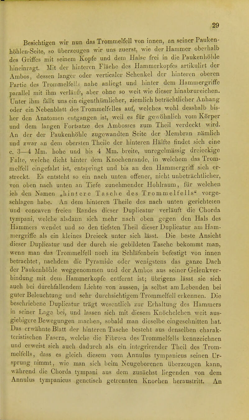 Besichtigen wir nun das Trommelfell von innen, an seiner Pauken- höhlcn-Seite, so überzeugen wir uns zuerst, wie der Hammer obci lialb des Griffes mit seinem Kopfe und dem Halse frei in die Paukenhölile hineinragt. Mit der hinteren Fläche des Hammerkopfes artikulirt der Ambos, dessen langer oder verticalcr Schenkel der hinteren oberen Partie des Trommelfell.^ nahe anliegt und hinter dem Hammergriffe parallel mit ihm vcrlüufr, aber ohne so weit wie dieser hinabzureichen. Unter ihm fällt uns ein eigenthümlieher, ziemlich beträchtlicher Anhang oder ein Nebenblatt des Trommelfelles auf, welches wohl desshalb bis- her den Anatomen entgangen ist, weil es für gewöhnlich vom Körper und dem langen Fortsatze des Ambosses zum Theil verdeckt wird. An der der Paukenhöhle zugewandten Seite der Membran nämlich und zwar an dem obersten Thcile der hinteren Hälfte findet sich eine c. 3—4 Mm. hohe und bis 4 Mm. breite, unregelmässig dreieckige Falte, welche dicht hinter dem Knochenrande, in welchem das Trom- melfell eingefalzt ist, entspringt und bis an den Hammergriff sich er- streckt. Es entsteht so ein nach unten offener, nicht unbeträchtlicher, von oben nach unten an Tiefe zunehmender Hohlraum, für welchen ich den Namen „hintere Tasche des Trommelfells vorge- schlagen habe. An dem hinteren Theile des nach unten gerichteten und concaven freien Randes dieser Duplieatur verläuft die Chorda tympani, welche alsdann sich mehr nach oben gegen den Hals des Hammers wendet und so den tiefsten Theil dieser Duplieatur am Ham- mergriffe als ein kleines Dreieck unter sich lässt. Die beste Ansicht dieser Duplieatur und der durch sie gebildeten Tasche bekommt man, wenn man das Trommelfell noch im Schläfenbein befestigt von innen betrachtet, nachdem die Pyramide oder wenigstens das ganze Dach der Paukenhöhle weggenommen und der Ambos aus seiner Gelenkver- bindung mit dem Hammerkopfe entfernt ist; übrigens lässt sie sich auch bei durcbfallendem Lichte von aussen, ja selbst am Lebenden bei guter Beleuchtung und sehr durchsichtigem Trommelfell erkennen. Die beschriebene Duplieatur trägt wesentlich zur Erhaltung des Hammers m seiner Lage bei, und lassen sich mit diesem Knöchelchcn v.'eit aus- giebigere Bewegungen machen, sobald man dieselbe eingeschnitten hat. Das erwähnte Blatt der hinteren Tasche besteht aus denselben charak- teristischen Fasern, welche die Fibroma des Trommelfells kennzeichnen und erweist sich auch dadurch als ein intogrirendcr Theil des Trom- melfells, dass es gleich diesem vom Annulus tympanicus seinen Ur- sprung nimmt, wie man sich beim Neugeborenen überzeugen kann, während die Chorda tympani aus dem zunächst liegenden von dem Annulus tympanicus genetisch getrennten Knochen heraustritt. An