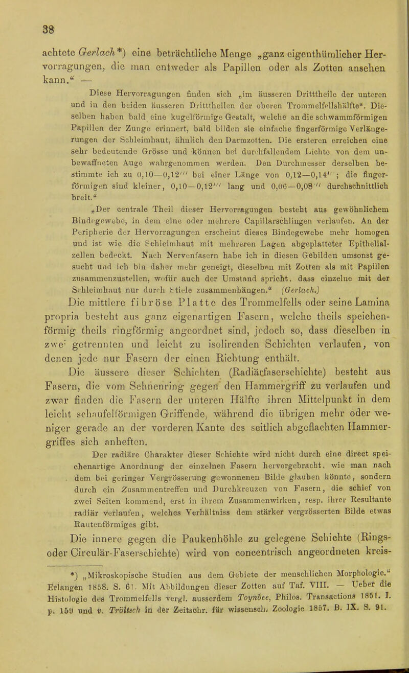 achtete Oerlach*) eine beträchtliche Monge „ganz cigenthümlicher Her- vorragungen, die man entweder als Papillen oder als Zotten ansehen kann. — Diese Hervorragungon finden sich „im äusseren Dritttheilc der unteren und in den beiden äusseren Diitttheilen der oberen Trommelfi'llshälfte. Die- selben haben bald eine kugelförmige Gestalt, welche an die schwammförmigen Papillen der Zunge erinnert, bald bilden sie einfache fingerförmige Verläuge- rungen der Schleimhaut, ähnlich den Darmüotten. Die ersteren erreichen eiae sehr bedeutende Grösse und können bei durchfallendem Lichte von dem un- bewafifneten Auge wahrgenommen werden. Dan Durchmesser derselben be- stimmte ich zu 0,10—0,12' bei einer Länge von 0,12—0,14'' ; die finger- förmigen sind kleiner, 0,10 — 0,12' lang und 0,06 — 0,08 durchschnittlich breit. „Der centrale Theil dieser Hervorraguugen besteht aus gewöhnlichem Bindegewebe, in dem eine oder mehrere Capillarschliugen verlaufen. An der Peripherie der Hervorragungen erscheint dieses Bindegewebe mehr homogen und ist wie die Schleimhaut mit mehreren Lagen abgeplatteter Epithelial- zellen bedeckt. Nach Nervenfasern habe ich in diesen Gebilden umsonst ge- sucht und ich bin daher mehr geneigt, dieselbftn mit Zotten als mit Papillen zufiammenzustellen, wiifür auch der Umstand spricht, dass einzelne mit der Sihleimhaut nur duroh ttiele zusammenhängen. (Oerlach.) Die mittlere fibröse Platte des Trommelfells oder seine Lamina propria besteht aus ganz eigenartigen Fasern, welche theils speichen- förmig thcils ringförmig angeordnet sind, jedoch so, dass dieselben in zwe' getrennten und leicht zu isolirenden Schichten verlaufen, von denen jode nur Fasern der einen Richtung enthält. Die äussere dieser Schichten (Radiärfaserscbichte) besteht aus Fasern, die vom Sehnenring gegen den Hammergriff zu verlaufen und zwar finden die Fasern der unteren Plälfte ihren Mittelpunkt in dem leiclit sch.'uifelförmigen Griffende, während die übrigen mehr oder we- niger gerade an der vorderen Kante des seitlich abgeflachten Hammer- griffes sich anheften. Der radiäre Charakter dieser Schichte wird nicht durch eine direct spei- chenartige Anordnung der einzelnen Fasern hervorgebracht, wie man nach . dem bei geringer Vergrösserung gewonneneu Bilde glauben könnte, sondern durch ein Zusammentreffen und Durchkreuzen von Fasern, die schief von zwei Seiten kommend, erst in ihrem Zusammenwirken, resp. ihrer Resultante radiär verlaufen, welches Verhältnlss dem stärker vergrösserten Bilde etwas Rautenförmiges gibt. Die innere gegen die Paukenhöhle zu gelegene Schichte (Ring.s- oder Circulär-Faserschichte) wird von concentrisch angeordneten kreis- *} „Mikroskopische Studien aus dem Gebiete der menschlichen Morphologie. Erlangen 1858. S. 6l. Mit Abbildungen dieser Zotten auf Taf. VIH. — Ueber die Hi.stologie des Trommelfells vergl. ausserdem Toynbee, Philos. Transactions 1851. J. p. 15'J und V. TröUich in der Zeitschr. für wisseuschi Zoologie 1857. B. IX. S. 91.