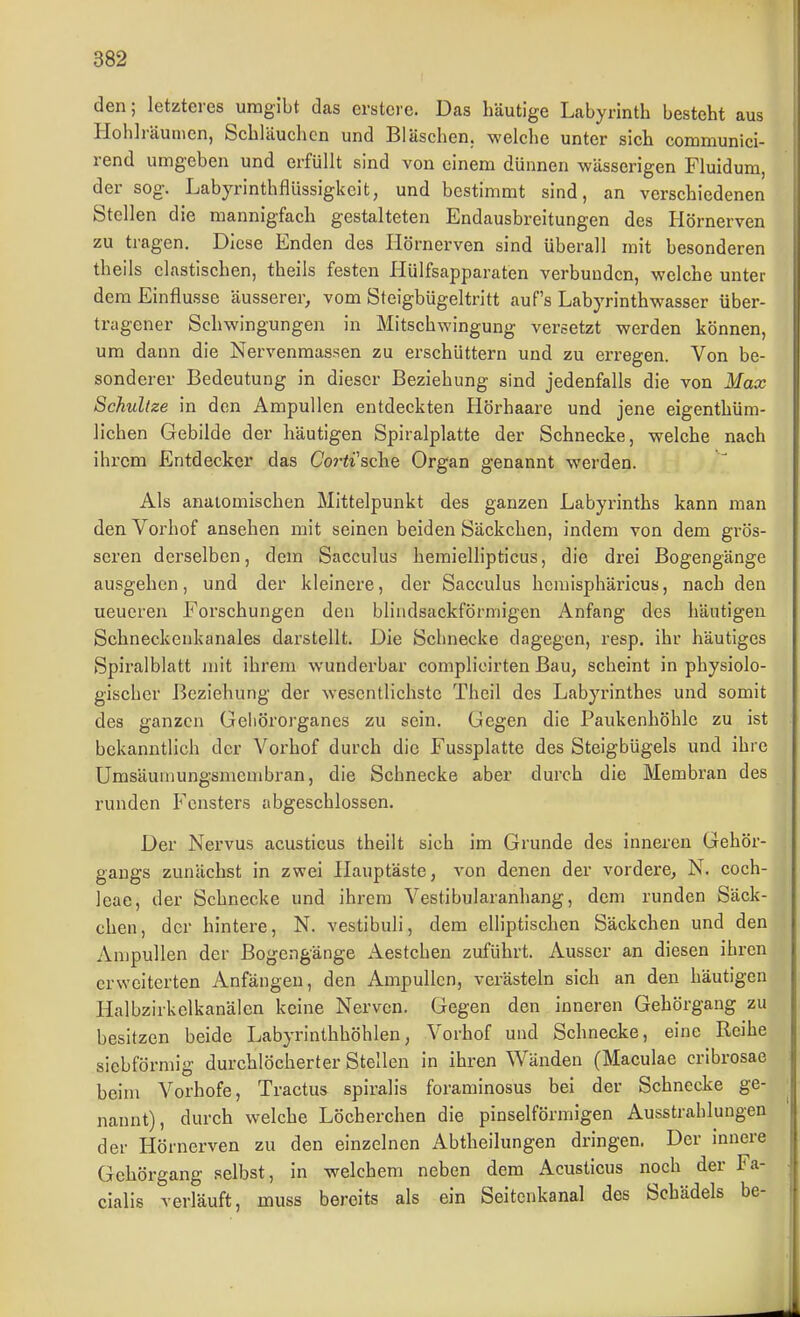 den; letzteres umgibt das erstcre. Das häutige Labyrinth besteht aus Holilräunien, Schläuchen und Bläschen, welche unter sich communici- rend umgeben und erfüllt sind von einem dünnen wässerigen Fluidum, der sog. Labyrinthflüssigkeit, und bestimmt sind, an verschiedenen Stellen die mannigfach gestalteten Endausbreitungen des Hörnerven zu tragen. Diese Enden des Ilörnerven sind überall mit besonderen theils elastischen, theils festen Hülfsapparaten verbunden, welche unter dem Einflüsse äusserer, vom Steigbügeltritt auf's Labyrinthwasser über- tragener Schwingungen in Mitschwingung versetzt werden können, um dann die Nervenmassen zu erschüttern und zu erregen. Von be- sonderer Bedeutung in dieser Beziehung sind jedenfalls die von Max Schnitze in den Ampullen entdeckten Hörhaare und jene eigenthüm- lichen Gebilde der häutigen Spiralplatte der Schnecke, welche nach ihrem Entdecker das Coj-^i'sche Organ genannt werden. Als anatomischen Mittelpunkt des ganzen Labyrinths kann man den Vorhof ansehen mit seinen beiden Säckchen, indem von dem grös- seren derselben, dem Sacculus heraiellipticus, die drei Bogengänge ausgehen, und der kleinere, der Sacculus honiisphäricus, nach den neueren Forschungen den blindsackförmigen Anfang des häutigen Schneckenkanales darstellt. Die Schnecke dagegen, resp. ihr häutiges Spiralblatt mit ihrem wunderbar complicirten Bau, scheint in physiolo- gischer Beziehung der wesentlichste Theil des Labyrinthes und somit des ganzen Geliörorgancs zu sein. Gegen die Paukenhöhle zu ist bekanntlich der Vorhof durch die Fussplatte des Steigbügels und ihre Umsäuniungsmembran, die Schnecke aber durch die Membran des runden Fensters abgeschlossen. Der Nervus acusticus theilt sich im Grunde des inneren Gehör- gangs zunächst in zwei Hauptäste, von denen der vordere, N. Coch- leae, der Schnecke und ihrem Vestibularanhang, dem runden Säck- chen, der hintere, N. vestibuli, dem elliptischen Säckchen und den Ampullen der Bogengänge Aestchen zuführt. Ausser an diesen ihren erweiterten Anfängen, den Ampullen, verästeln sich an den häutigen Halbzirkelkanälen keine Nerven. Gegen den inneren Gehörgang zu besitzen beide Labyrinthhöhlen, Vorhof und Schnecke, eine Reihe siebförmig durchlöcherter Stellen in ihren Wänden (Maculae cribrosae beim Vorhofe, Tractus spiralis foraminosus bei der Schnecke ge- nannt), durch welche Löcherchen die pinselförmigen Ausstrahlungen der Hörnerven zu den einzelnen Abtheilungen dringen. Der innere Gehörgang selbst, in welchem neben dem Acusticus noch der Fa- cialis verläuft, muss bereits als ein Seitcnkanal des Schädels be-