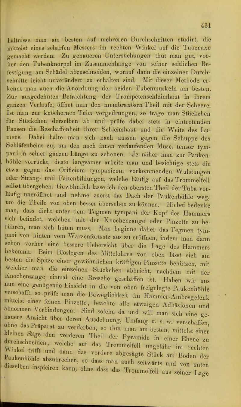 liiiltnissc mau <ini besten auf mehreren Durchsclinittcn studirt, die mittelst eines scharfen Messers im rechten Winkel auf die Tubenaxe •gemacht werden. Zu genaueren Untersuchungen thut man gut, vor- licr den Tubenknorpel im Zusammenhange von seiner seitlichen Bc- testigung am Schädel abzuschneiden, worauf dann die einzelnen Durch- schnitte leicht unverändert zu erhalten sind. Mit dieser Methode er- kennt man auch die Anordnung der beiden Tubenmuskeln am besten. Zur ausgedehnten Betrachtung der Trompctenschlcimhaut in ihrem ganzen Verlaufe, öffnet man den mcmbranösrn Theil mit der Scheerc. Ist man zur knöchernen Tuba vorgedrungen, so trage man Stückchen für Stückchen derselben ab und prüfe dabei stets in eintretenden Pausen die Beschaffenheit ihrer Schleimhaut und die Weite des Lu- mens. Dabei halte man sich nach aussen gegen die Schuppe des Schläfenbeins zu, um den nach innen verlaufenden Muse, tensor tym- pani in seiner ganzen Länge zu schonen. Je näher man zur Pauken- höhle vorrückt, desto langsamer arbeite man und besichtige stets die etwa gegen das Orificium tympanicum vorkommenden Wulstungcn oder Strang- und Faltenbildungcn, welche häufig auf das Trommelfell selbst übergehen. Gewöhnlich lasse ich den obersten Theil der Tuba vor- läufig uneröffnet und nehme zuerst das Dach der Paukenhöhle weg, um die Theile von oben besser übersehen zu können. Hicbei bedenke man, dass dicht unter dem Tcgraen tjmpani der Kopf des Hammers sich befindet, welchen mit der Knochenzange oder Pinzette zu be- rühren, man sich hüten muss. Man beginne daher das Tegmen tym- pani von hinten vom Warzenfortsatz aus zu eröfl^'nen, indem man dann schon vorher eine bessere Uebersicht über die Lage des Hammers bekommt. Beim Bioslegen des Mittelohres von oben lässt sich am besten die Spitze einer gewöhnlichen kräftigen Pinzette benützen, mit ^^'elchcr man die einzelnen Stückchen abbricht, nachdem mit der Knochenzange einmal eine Bresche geschaflPcn ist. Haben wir uns nun eme genügende Einsicht in die von oben freigelegte Paukenhöhle verschafft, so. prüfe man die Beweglichkeit im Hammer-A.nbosgelenk mittelst einer fernen Pinzette, beachte alle etwaigen Adhäsionen und abnorme.. Verbindungen. Sind solche d. und will man sich eine .e- ohn P Ausdehnung, Umfang u. s. w. versehafifn, k e e S '7  T  '^ -'^'«^ eine klei n Sage den vorderen Theil der Pyramide in einer Ebene zu W tnm u'n^^'d ^ f ^as Trommelfell ungefähr im rechte, tt l !'.^^^r'''  ^^'^ ^^^'^---^^ von unten dieselben .nspie.ren kann, ohne dass das Trommelfell aus seiner Lage