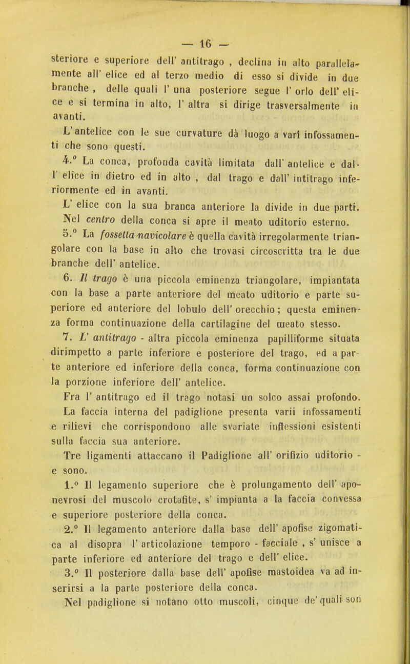 steriore e superiore dell' antilrago , declina in alto parallela- mente all' elice ed al terzo medio di esso si divide in due branche , delle quali 1' una posteriore segue 1' orlo dell' eli- ce e si termina in alto, 1' altra si dirige trasversalmente in avanti. L'antelice con le sue curvature dà luogo a vari infossamen- ti che sono questi. 4.  La conca, profonda cavità limitata dall' antelice e dal- l' elice in dietro ed in alto , dal trago e dall'intilrago infe- riormente ed in avanti. L' elice con la sua branca anteriore la divide in due parti. Nel centro della conca si apre il meato uditorio esterno. 5.  La /ossela iiawcoiare è quella cavità irregolarmente trian- golare con la base in allo che trovasi circoscritta tra le due branche dell' antelice. 6. Il trago è una piccola eminenza triangolare, impiantata con la base a parte anteriore del meato uditorio e parte su- periore ed anteriore del lobulo dell'orecchio; questa eminen- za forma continuazione della cartilagine del meato stesso. 7. L' antitrago - altra piccola eminenza papilliforme situata dirimpetto a parte inferiore e posteriore del trago, ed a par- te anteriore ed inferiore della conca, forma continuazione con la porzione inferiore dell' antelice. Fra r anlitrago ed il trago notasi un solco assai profondo. La faccia interna del padiglione presenta varii infossamenti e rilievi che corrispondono alle svariale inflossioni esistenti sulla faccia sua anteriore. Tre ligaraenti attaccano il Padiglione all' orifizio uditorio - e sono. 1. ° Il legamento superiore che è prolungamento dell' apo- nevrosi del muscolo crotafite, s' impianta a la faccia convessa e superiore posteriore della conca. 2.  Il legamento anteriore dalla base dell' apofise zigomati- ca al disopra 1' articolazione temporo - facciale , s' unisce a parte inferiore ed anteriore del trago e dell' elice. 3.  11 posteriore dalla base dell' apofise mastoidea va ad in- serirsi a la parie posteriore della conca. Nel padiglione si notano otto muscoli, oiiKiue de'quali son