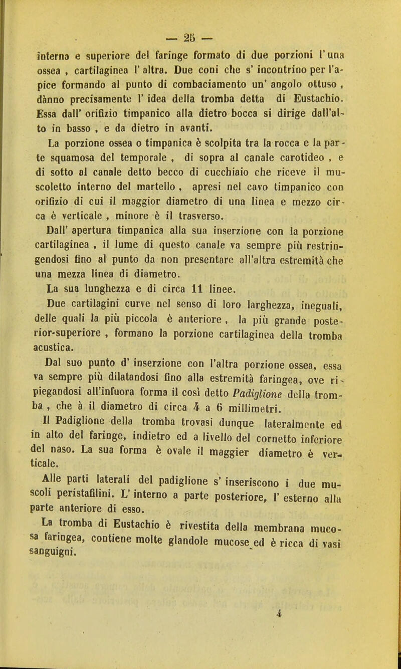 interna e superiore del faringe formato di due porzioni l'una ossea , cartilaginea 1' altra. Due coni che s'incontrino per l'a- pice formando al punto di combaciamento un' angolo ottuso , dànno precisamente l'idea della tromba detta di Eustachio. Essa dall'orifizio timpanico alla dietro bocca si dirìge dall'aU to in basso , e da dietro in avanti. La porzione ossea o timpanica è scolpita tra la rocca e la par* te squamosa del temporale , di sopra al canale carotideo , e di sotto al canale detto becco di cucchiaio che riceve il mu- scoletto interno del martello, apresi nel cavo timpanico con orifizio di cui il maggior diametro di una linea e mezzo cir- ca è verticale , minore è il trasverso. Dall' apertura timpanica alla sua inserzione con la porzione cartilaginea , il lume di questo canale va sempre più restrin- gendosi fino al punto da non presentare all'altra estremità che una mezza linea di diametro. La sua lunghezza e di circa 11 linee. Due cartilagini curve nel senso di loro larghezza, ineguali, delle quali la più piccola è anteriore , la piìi grande poste- rior-superiore , formano la porzione cartilaginea della tromba acustica. Dal suo punto d'inserzione con l'altra porzione ossea, essa va sempre più dilatandosi fino alla estremità faringea, ove ri- piegandosi all'infuora forma il cosi detto Padiglione della trom- ba , che à il diametro di circa 4 a 6 millimetri. Il Padiglione della tromba trovasi dunque lateralmente ed in alto del faringe, indietro ed a livello del cornetto inferiore del naso. La sua forma è ovale il maggier diametro è ver- ticale. Alle parti laterali del padiglione s* inseriscono i due mu- scoli peristafilini. L'interno a parte posteriore, 1' esterno alla parte anteriore di esso. La tromba di Eustachio è rivestita della membrana muco- sa faringea, contiene molte glandole mucose ed è ricca di vasi sanguigni. 4