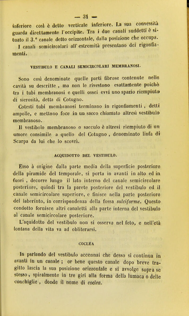 inferiore cosi è dello verticale inferiore. La sua convessità guarda direttamente l'occipite. Tra i due canali suddetti è si- tuato il 3. canale detto orizzontale, dalla posizione che occupa. I canali semicircolari all'estremità presentano dei rigonfia' menti. VESXmCLO E CANALI SEMICIRCOLARI MEMBRANOSI. Sono così denominate quelle parti fibrose contenute nelle cavità su descritte , ma non le rivestono esaltariiente poiché tra i tubi membranosi e quelli ossei evvi uno spazio riempiuto dì sierosità, detta di Cotugno. Cotesti tubi membranosi terminano in rigonfiamenti , detti ampolle, e mettono foce in un sacco chiamato altresì vestibulo membranoso. II vestibolo membranoso o sacculo è altresi riempiuto di un umore consimile a quello del Cotugno , denominato linfa di Scarpa da lui che Io scovrì. ACQDIDOTTO DEL VESTIBULO. Esso à oiigine dalla parte media della superficie posteriore della piramide del temporale, si porta in avanti in alto ed ia fuori , decorre lungo il lato interno del canale semicircolare posteriore, quindi tra la parete posteriore del vestibulo ed il canale semicircolare superiore, e finisce nella parte posteriore del laberinto, in corrispondenza della fossa sulciforme. Questo condotto fornisce altri canaletti alla parte interna del vestibulo al canale semicircolare posteriore. L'aquidotto del vestibulo non si osserva nel feto, e nell'età lontana della vita va ad obliterarsi. COCLEA In parlando del vestibulo accennai che desso si continua in avanti in un canale ; or bene questo canale dopo breve tra- gitto lascia la sua posizione orizzontale e si avvolge sopra se stesso, spiralmente iti tre giri alla forma della lumaca o delle conchiglie , donde il nome di coclea.