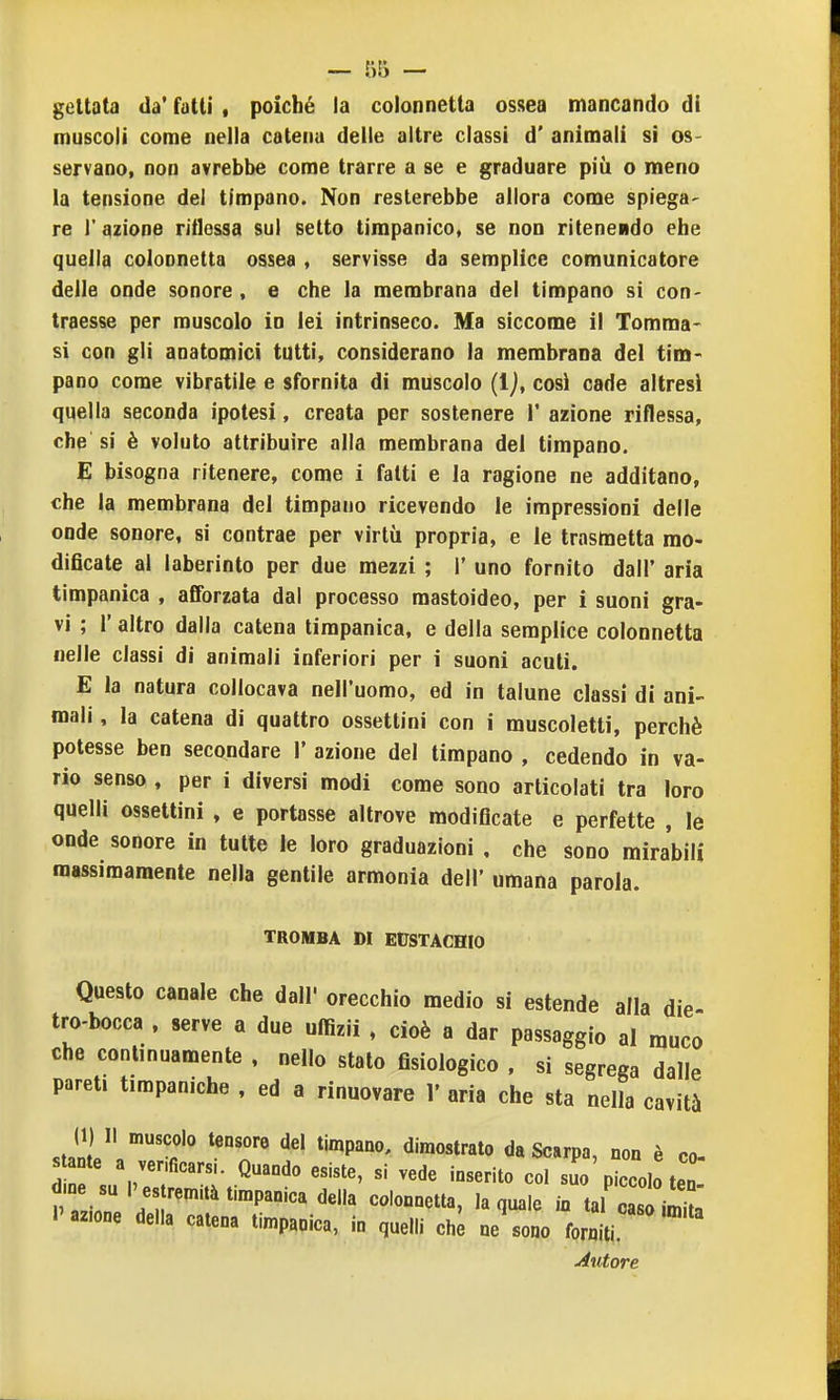 gettata da' fatti , poiché la colonnetta ossea mancando di muscoli come nella catena delle altre classi d' animali si os- servano, non avrebbe come trarre a se e graduare più o meno la tensione del timpano. Non resterebbe allora come spiega- re r azione riflessa sul setto timpanico, se non ritenendo ehe quella colonnetta ossea , servisse da semplice comunicatore delle onde sonore, e che la membrana dei tìmpano si con- traesse per muscolo in lei intrinseco. Ma siccome il Tomma- si con gli anatomici tutti, considerano la membrana del tim-^ pano come vibratile e sfornita di muscolo (Ij, così cade altresì quella seconda ipotesi, creata per sostenere 1' azione riflessa, che si è voluto attribuire alla membrana del timpano. E bisogna ritenere, come i fatti e la ragione ne additano, che la membrana del timpano ricevendo le impressioni delle onde sonore, si contrae per virtù propria, e le trasmetta mo- dificate al laberinto per due mezzi ; 1' uno fornito dall' aria timpanica , afiForzata dal processo mastoideo, per i suoni gra- vi ; r altro dalla catena timpanica, e della semplice colonnetta nelle classi di animali inferiori per i suoni acuti. E la natura collocava nell'uomo, ed in talune classi di ani- mali , la catena di quattro ossettini con i muscoletti, perchè potesse ben secondare 1' azione del timpano , cedendo in va- rio senso , per i diversi modi come sono articolati tra loro quelli ossettini , e portasse altrove modificate e perfette , le onde sonore in tutte le loro graduazioni , che sono mirabili massimamente nella gentile armonia dell' umana parola. TROMBA DI EUSTACHIO Questo canale che dall' orecchio medio si estende alla die- tro-bocca , serve a due uffizii , cioè a dar passaggio al muco che continuamente , nello stato fisiologico , si segrega dalle pareti timpaniche , ed a rinnovare 1' aria che sta nella cavità (1) Il muscolo tensore del timpano, dimostrato da Scarpa, non è co s ante a verificarsi. Quando esiste, si vede inserito col suo plolo teT l'azione della catena timpanica, in quelli che ne sono forniti, tutore
