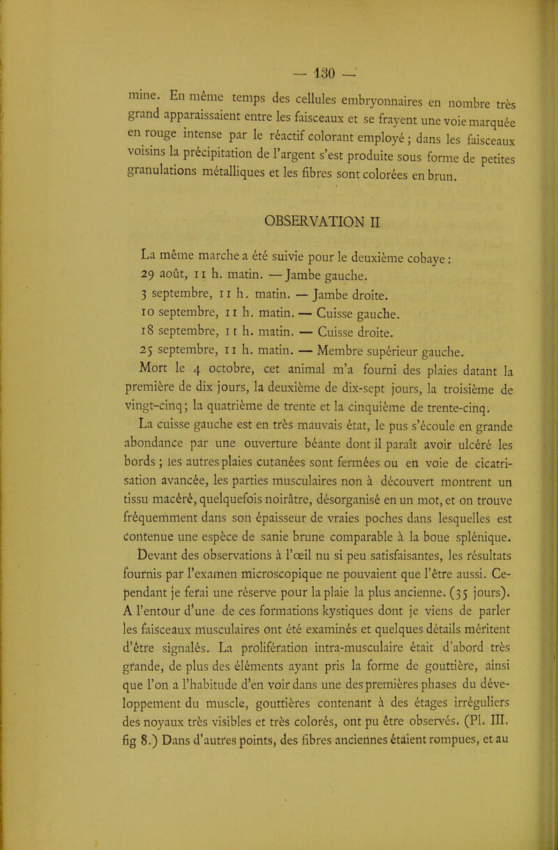 raine ~ En même temps des cellules embryonnaires en nombre très grand apparaissaient entre les faisceaux et se frayent une voie marquée en rouge intense par le réactif colorant employé ; dans les faisceaux voisins la précipitation de l'argent s'est produite sous forme de petites granulations métalliques et les fibres sont colorées en brun. OBSERVATION II La même marche a été suivie pour le deuxième cobaye : 29 août, II h. matin. —Jambe gauche. 3 septembre, 11 h. matin. — Jambe droite. 10 septembre, 11 h. matin. — Cuisse gauche. 18 septembre, i r h. matin. — Cuisse droite. 25 septembre, 11 h. matin. — Membre supérieur gauche. Mort le 4 octobre, cet animal m'a fourni des plaies datant la première de dix jours, la deuxième de dix-sept jours, la troisième de vingt-cinq; la quatrième de trente et la cinquième de trente-cinq. La cuisse gauche est en très mauvais état, le pus s'écoule en grande abondance par une ouverture béante dont il paraît avoir ulcéré les bords ; les autres plaies cutanées sont fermées ou en voie de cicatri- sation avancée, les parties musculaires non à découvert montrent un tissu macéré, quelquefois noirâtre, désorganisé en un mot, et on trouve fréquemment dans son épaisseur de vraies poches dans lesquelles est Contenue une espèce de sanie brune comparable à la boue splénique. Devant des observations à l'œil nu si peu satisfaisantes, les résultats fournis par l'examen microscopique ne pouvaient que l'être aussi. Ce- pendant je fefai une réserve pour la plaie la plus ancienne. (35 jours). A l'entour d'une de ces formations kystiques dont je viens de parler les faisceaux musculaires ont été examinés et quelques détails méritent d'être signalés. La prolifération intra-musculaire était d'abord très gi'ande, de plus des éléments ayant pris la forme de gouttière, ainsi que l'on a l'habitude d'en voir dans une des premières phases du déve- loppement du muscle, gouttières contenant à des étages irréguHers des noyaux très visibles et très colorés, ont pu être obsen^és. (Pl. III. fig 8.) Dans d'autres points, des fibres andeilnes étaient rompues, et au