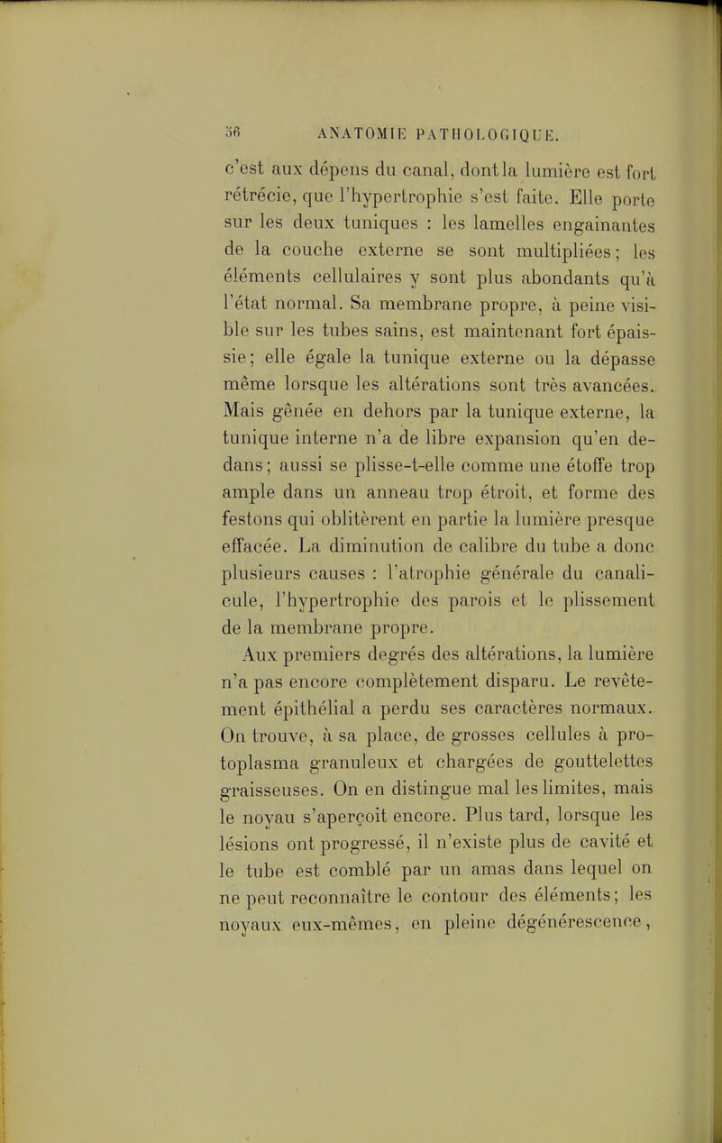 c'est aux dépens du canal, dont la lumière est fort rétrécie, que l'hypertrophie s'est faite. Elle porte sur les deux tuniques : les lamelles engainantes de la couche externe se sont multipliées ; les éléments cellulaires y sont plus abondants qu'à l'état normal. Sa membrane propre, à peine visi- ble sur les tubes sains, est maintenant fort épais- sie; elle égale la tunique externe ou la dépasse même lorsque les altérations sont très avancées. Mais gênée en dehors par la tunique externe, la tunique interne n'a de libre expansion qu'en de- dans ; aussi se plisse-t-elle comme une étoffe trop ample dans un anneau trop étroit, et forme des festons qui oblitèrent en partie la lumière presque effacée. La diminution de calibre du tube a donc plusieurs causes : l'atrophie générale du canali- cule, l'hypertrophie des parois et le plissement de la membrane propre. Aux premiers degrés des altérations, la lumière n'a pas encore complètement disparu. Le revête- ment épithélial a perdu ses caractères normaux. On trouve, à sa place, de grosses cellules à pro- toplasma granuleux et chargées de gouttelettes graisseuses. On en distingue mal les hmites, mais le noyau s'aperçoit encore. Plus tard, lorsque les lésions ont progressé, il n'existe plus de cavité et le tube est comblé par un amas dans lequel on ne peut reconnaître le contour des éléments; les noyaux eux-mêmes, on pleine dégénérescence,