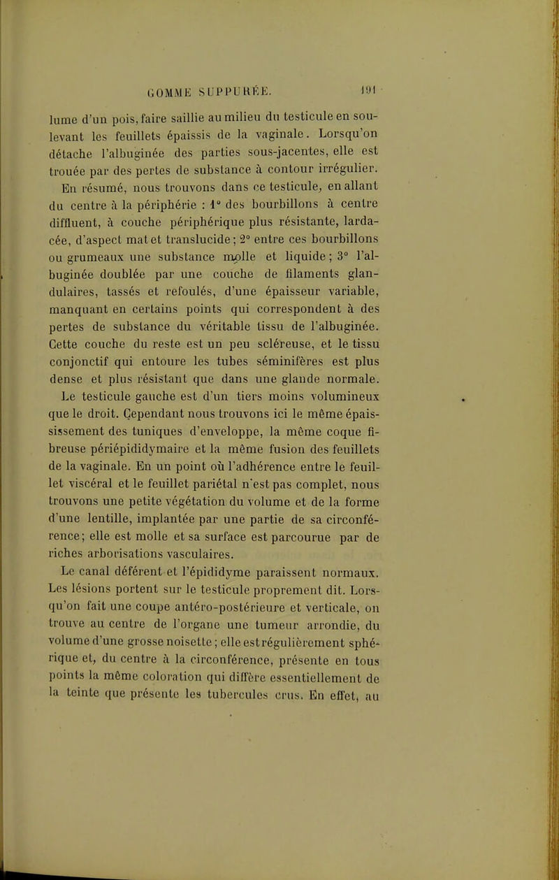 lume d'un pois, faire saillie au milieu du testicule en sou- levant les feuillets épaissis de la vaginale. Lorsqu'on détache l'albuginée des parties sous-jacentes, elle est trouée par des pertes de substance à contour irrégulier. En résumé, nous trouvons dans ce testicule^ en allant du centre à la périphérie : d des bourbillons à centre diffluent, à couche périphérique plus résistante, larda- cée, d'aspect mat et translucide; 2° entre ces bourbillons ou grumeaux une substance roplle et liquide ; 3° l'al- buginée doublée par une couche de filaments glan- dulaires, tassés et refoulés, d'une épaisseur variable, manquant en certains points qui correspondent à des pertes de substance du véritable tissu de l'albuginée. Cette couche du reste est un peu scléreuse, et le tissu conjonctif qui entoure les tubes séminifères est plus dense et plus résistant que dans une glande normale. Le testicule gauche est d'un tiers moins volumineux que le droit. Cependant nous trouvons ici le même épais- sissement des tuniques d'enveloppe, la même coque fi- breuse périépididymaire et la même fusion des feuillets de la vaginale. En un point où l'adhérence entre le feuil- let viscéral et le feuillet pariétal n'est pas complet, nous trouvons une petite végétation du volume et de la forme d'une lentille, implantée par une partie de sa circonfé- rence; elle est molle et sa surface est parcourue par de riches arborisations vasculaires. Le canal déférent et l'épididyme paraissent normaux. Les lésions portent sur le testicule proprement dit. Lors- qu'on fait une coupe antéro-postérieure et verticale, on trouve au centre de l'organe une tumeur arrondie, du volume d'une grosse noisette ; elle estrégulièrcment sphé- rique et, du centre à la circonférence, présente en tous points la même coloration qui diffère essentiellement de la teinte que présente les tubercules crus. En eflet, au