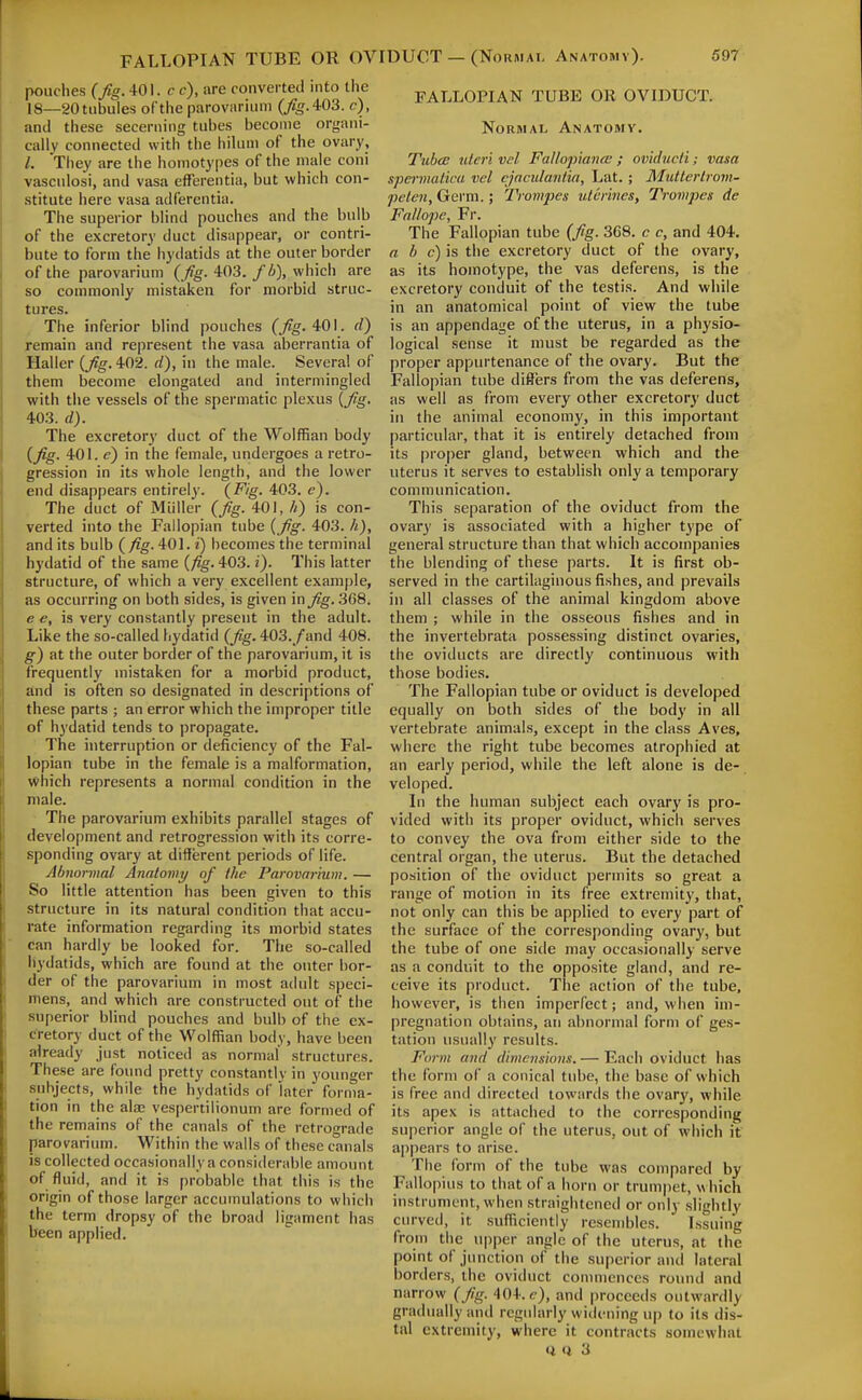 pouches (fig. 401. c c), are converted into the 18—20 tubules of the parovarium {figAOS. c), and these secerning tubes become organi- cally connected with the hilum of the ovary, /. They are the homotypes of the male coni vasculosi, and vasa efferentia, but which con- stitute here vasa adfercntia. The superior blind pouches and the bulb of the excretory duct disappear, or contri- bute to form the hydatids at the outer border of the parovarium {fig. 403. /h), which are so commonly mistaken for morbid struc- tures. The inferior blind pouches (^g. 401. d) remain and represent the vasa aberrantia of Haller {fig. 402. d), in the male. Several of them become elongated and intermingled with the vessels of the spermatic plexus {fig. 40.3. d). The excretory duct of the Wolffian body {fig. 401. c) in the female, undergoes a retro- gression in its whole length, and the lower end disappears entirely. {Fig. 403. c). The duct of Miiller {fig. 401, h) is con- verted into the Fallopian tube {fig. 403. h), and its bulb ( fig. 401. i) becomes the terminal hydatid of the same {fig. 403. i). This latter structure, of which a very excellent example, as occurring on both sides, is given in fig. 368. e e, is very constantly present in the adult. Like the so-called fiydatid {fig. 403./and 408. g) at the outer border of the parovarium, it is frequently mistaken for a morbid product, and is often so designated in descriptions of these parts ; an error which the improper title of hydatid tends to propagate. The interruption or deficiency of the Fal- lopian tube in the female is a malformation, which represents a normal condition in the male. The parovarium exhibits parallel stages of development and retrogression with its corre- sponding ovary at different periods of life. Abnormal Anatomy of the Parovarium. — So little attention has been given to this structure in its natural condition that accu- rate information regarding its morbid states can hardly be looked for. The so-called liydatids, which are found at the outer bor- der of the parovarium in most adidt speci- mens, and which are constructed out of the superior blind pouches and bulb of the ex- cretory duct of the Wolffian body, have been already just noticed as normal structures. These are found pretty constantlv in younger subjects, while the hydatids of later forma- tion in the alas vespertilionum are formed of the remains of the canals of the retrograde parovariiun. Within the wails of these canals is collected occasionally a considerable amount of fluid, and it is probable that this is the origin of those larger accumulations to which the term dropsy of the broad ligament has been applied. FALLOPIAN TUBE OR OVIDUCT. Normal Anatomy. Tubcc uteri vel FallopiancB ; oviducti; vasa spermaticu vcl ijaculantia, Lat.; Mutlertrom- peten. Germ.; Trompes utirines, Trompcs de Fa/lope, Fr. The Fallopian tube (fig. 368. c c, and 404. a h c) is the excretory duct of the ovary, as its homotype, the vas deferens, is the excretory conduit of the testis. And while in an anatomical point of view the tube is an appendage of the uterus, in a physio- logical sense it must be regarded as the proper appurtenance of the ovary. But the Fallopian tube differs from the vas deferens, as well as from every other excretory duct in the animal economy, in this important particular, that it is entirely detached from its proper gland, between which and the uterus it serves to establish only a temporary communication. This separation of the oviduct from the ovary is associated with a higher type of general structure than that which accompanies the blending of these parts. It is first ob- served in the cartilaginous fishes, and prevails in all classes of the animal kingdom above them ; while in the osseous fishes and in the invertebrata possessing distinct ovaries, the oviducts are directly continuous with those bodies. The Fallopian tube or oviduct is developed equally on both sides of the body in all vertebrate animals, except in the class Aves, where the right tube becomes atrophied at an early period, while the left alone is de- veloped. In the human subject each ovary is pro- vided with its proper oviduct, which serves to convey the ova from either side to the central organ, the uterus. But the detached position of the oviduct permits so great a range of motion in its free extremity, that, not only can this be applied to every part of the surface of the corresponding ovary, but the tube of one side may occasionally serve as a conduit to the opposite gland, and re- ceive its product. The action of the tube, however, is then imperfect; and, when im- pregnation obtains, an abnormal form of ges- tation usually results. Form and dimensiom. — Each oviduct 1ms the form of a conical tube, the base of which is free and directed towards the ovary, while its apex is attached to the corresponding superior angle of the uterus, out of which if a|)pears to arise. The form of the tube was compared by Fallopius to that of a horn or trum|)et, \\ hich instrument, when straightened or only slightly curved, it sufficiently resembles. Issuing from the upper angle of the uterus, at the point of junction of the superior and lateral borders, the oviduct conunenccs round and narrow (fig. 404. f?), and proceetis outwardly gradually and regidarly widening up to its dis- tal extremity, where it contracts somewhat