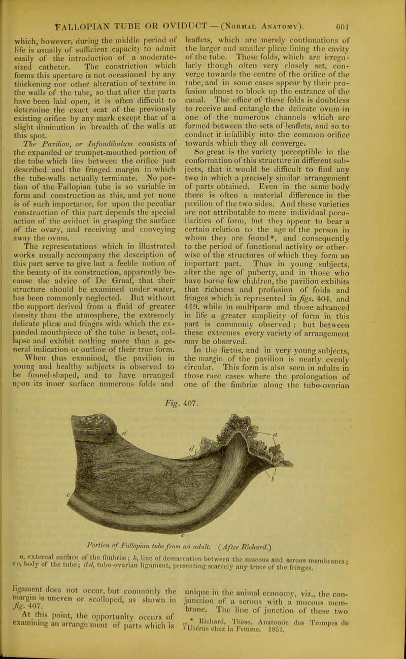 which, however, during the middle period of life is usually of sufficient capacity to admit easily of the introduction of a niodcrate- sized catheter. The constriction which forms this aperture is not occasioned by any thickening nor other alteration of texture in the walls of the tube, so that after the parts have been laid open, it is often difficult to determine the exact seat of the previously existing orifice by any mark except that of a slight diminution in breadth of the walls at this spot. The Pavilion, or Infitndibnliim. consists of the expanded or trumpet-mouthed portion of the tube which lies between the orifice just described and the fringed margin in which the tube-walls actually terminate. No por- tion of the Fallopian tube is so variable in form and construction as this, and yet none is of such importance, for upon the peculiar construction of this part depends the special action of the oviduct in grasping the surface of the ovary, and receiving and conveying awav the ovum. The representations which in illustrated works usually accompany the description of this part serve to give but a feeble notion of the beauty of its construction, apparently be- cause the advice of De Graaf, that their structure should be examinetl under water, has been commonly neglected. But without the support derived from a fluid of greater density than the atmosphere, the extremely delicate plicae and fringes with which the ex- panded mouthpiece of the tube is beset, col- lapse and exhibit nothing more than a ge- neral indication or outline of their true form. When thus examined, the pavilion in young and health}' subjects is observed to be funnel-shaped, and to have arranged upon its inner surface numerous folds and leaflets, which are merely continuations of the larger and smaller plicie lining the cavity of the tube. These folds, wliich are irregu- larly though often very closely set, con- verge towards the centre of the orifice of the tube, and in some cases appear by their pro- fusion almost to block up the entrance of the canal. The office of these folds is doubtless to receive and entangle the delicate ovum in one of the numerous channels which are formed between the sets of leaflets, and so to conduct it infallibly into the common orifice towards which they all converge. So great is the variety j)erceptible in the conformation of this structure in different sub- jects, that it would be difficult to find any two in which a precisely similar arrangement of parts obtained. Even in the same body there is often a material difference in the pavilion of the two sides. And these varieties are not attributable to mere individual pecu- liarities of form, but they appear to bear a certain relation to the age of the person in whom they are found*, and consequently to the period of functional activiij' or other- wise of the structures of which they form an iiuportart part. Thus in young subjects, after the age of puberty, and in those who have borne few children, the pavilion exhibits that richness and profusion of folds and fringes which is represented in Jigs. 404. and 419. while in multiparas and those advanced in life a greater simplicity of form in this part is commonly observed ; but between these extremes every variety of arrangement may be observed. In the foetus, and in very young subjects, the margin of the pavilion is nearly evenly circular. This form is also seen in adults in those rare cases where the prolongation of one of the fimbriae along the tubo-ovarian Fig. 407. Porlion nf Fallopian title from an adult. (After Richard.) a, p.xternal surface of the fimbrias; h, lino of .lem.ircalion between tlic mucous ami serous membranes- cc, body of the tube; dd, tiibo-ovanan ligament, presenting scarcely any trace of the fringes. ligament does not occur, but commonly the margin is uneven or scolloped, as shown in At this point, the opportunity occurs of examinmg an arrange nient of parts which is unique in the animal economy, viz., the con- junction of a serous with a mucous mem- brane. The line of junction of these two . • Richard, Thfese, Anatomic lies Trompcs do