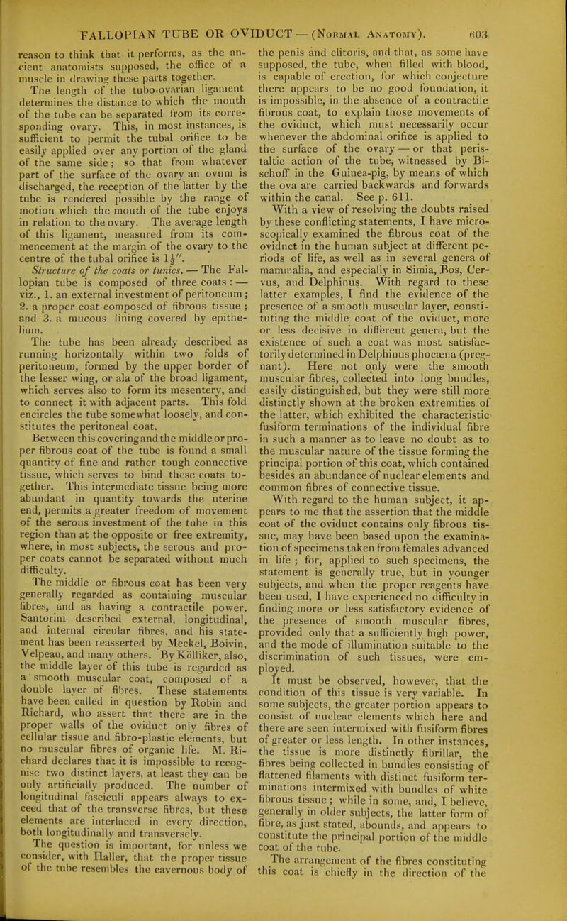 reason to think that it performs, as the an- cient anatomists supposed, the office of a muscle in drawing these parts together. The length of the tubo-ovarian ligament determines the dist.mce to which the mouth of the tube can be separated from its corre- sponding ovary. This, in most instances, is sufficient to permit the tubal orifice to be easily applied over any portion of the gland of the same side; so that from whatever part of the surface of the ovary an ovum is discharged, the reception of the latter by the tube is rendered possible by the range of motion which the mouth of the tube enjoys in relation to the ovary. The average length of this ligament, measured from its com- mencement at the margin of the ovary to the centre of the tubal orifice is 1 i. Structure of the coats or tunics. — The Fal- lopian tube is composed of three coats : — viz., 1. an external investment of peritoneum ; 2. a proper coat composed of fibrous tissue ; and 3. a mucous lining covered by epitlie- lium. The tube has been already described as running horizontally within two folds of peritoneum, formed by the upper border of the lesser wing, or ala of the broad ligament, which serves also to form its mesentery, and to connect it with adjacent parts. This fold encircles the tube somewhat loosely, and con- stitutes the peritoneal coat. Between this covering and the middle or pro- per fibrous coat of the tube is found a small quantity of fine and rather tough connective tissue, which serves to bind these coats to- gether. This intermediate tissue being more abundant in quantity towards the uterine end, permits a greater freedom of movement of the serous investment of the tube in this region than at the opposite or free extremity, where, in most subjects, the serous and pro- per coats cannot be separated without much difficulty. The middle or fibrous coat has been very generally regarded as containing muscular fibres, and as having a contractile power. Santorini described external, longitudinal, and internal circular fibres, and his state- ment has been reasserted by Meckel, Boivin, Velpeau, and many others. By KoUiker, also, the middle layer of this tube is regarded as a smooth muscular coat, composed of a double layer of fibres. These statements have been called in question by Robin and Richard, who assert that there are in the proper walls of the oviduct only fibres of cellular tissue and fibro-plastic elements, but no muscular fibres of organic life. M. Ri- chard declares that it is impossible to recog- nise two distinct layers, at least they can be only artificially produced. The number of longitudinal fasciculi appears always to ex- ceed that of the transverse fibres, but these elements are interlaced in every direction, both longitudinally and transversely. The question is important, for unless we consider, with Ilaller, that the proper tissue of the tube resembles the cavernous body of the penis and clitoris, and that, as some have supposed, the tube, when filled with blood, is capable of erection, for which conjecture there appears to be no good foundation, it is impossible, in the absence of a contractile fibrous coat, to explain those movements of the oviduct, which must necessarily occur whenever the abdominal orifice is applied to the surface of the ovary — or that peris- taltic action of the tube, witnessed by Bi- schoff in the Guinea-pig, by means of which the ova are carried backwards and forwards within the canal. See p. 611. With a view of resolving the doubts raised by these conflicting statements, I have micro- scopically examined the fibrous coat of the oviduct in the human subject at different pe- riods of life, as well as in several genera of mammalia, and especially in Simla, Bos, Cer- vus, and Delphinus. With regard to these latter examples, I find the evidence of the presence of a smooth muscular layer, consti- tuting the middle coat of the oviduct, more or less decisive in different genera, but the existence of such a coat was most satisfac- torily determined in Delphinus phocsena (preg- nant). Here not only were the smooth muscular fibres, collected into long bundles, easily distinguished, but they were still more distinctly shown at the broken extremities of the latter, which exhibited the characteristic fusiform terminations of the individual fibre in such a manner as to leave no doubt as to the muscular nature of the tissue forming the principal portion of this coat, which contained besides an abundance of nuclear elements and common fibres of connective tissue. With regard to the human subject, it ap- pears to me that the assertion that the middle coat of the oviduct contains only fibrous tis- sue, may have been based upon the examina- tion of specimens taken from females advanced in life ; for, applied to such specimens, the statement is generally true, but in younger subjects, and when the proper reagents have been used, I have experienced no difficulty in finding more or less satisfactory evidence of the presence of smooth muscular fibres, provided only that a sufficiently high power, and the mode of illumination suitable to the discrimination of such tissues, were em- ployed. It must be observed, however, that the condition of this tissue is very variable. In some subjects, the greater portion appears to consist of nuclear elements which here and there are seen intermixed with fusiform fibres of greater or less length. In other instances, the tissue is more distinctly fibrillar, the fibres being collected in bundles consisting of flattened filaments with distinct fusiform ter- minations intermixed with bundles of white fibrous tissue; while in some, and, I believe, generally in older subjects, the latter form of fibre, as just stated, abounds, and appears to constitute the principal portion of the middle coat of the tube. The arrangement of the fibres constituting this coat is chiefly in the direction of the