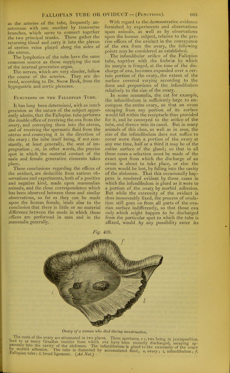 as the arteries of the tube, froqiiently an- astoinose with one another by transverse branches, which serve to connect together the two principal trunks. These gather the returning blood and carry it into the plexus of uterine veins placed along the sides of the uterus. The lymphatics of the tube have the same common source as those supplying the rest of the internal generative organ. The nerves, wliich are very slender, follow the course of the arteries. They are de- rived, according to Dr. Snow Beck, from the hypogastric and aortic plexuses. Functions oi' the Fallopian Tube. It has long been determined, with as much precision as the nature of the subject appar- ently admits, that the Fallopian tube performs the double office of receiving the ova from the ovary, and conveying them into the uterus, and of receiving the spermatic fluid from the uterus and conveying it in the direction of the ovary: the tube itself being, if not con- stantly, at least generally, the seat of im- pregnation ; or, in other words, the precise spot in which the material contact of the male and female generative elements takes place. These conclusions regarding the offices of the oviduct, are deducible from various ob- servations and experiments, both of a positive and negative kind, made upon mammalian animals, and the close correspondence which has been observed between these and similar observations, so far as they can be made upon the human female, leads also to the conclusion that there is little or no material difference between the mode in which these offices are performed in man and in the jnammalia generally. With regard to the demonstrative evidence furnished by experiments and observations upon animals, as well as by observations upon the human subject, relative to the pre- cise offices of the oviduct in the conveyance of the ova from the ovary, the following points may be considered as established. The infundibular orifice of the Fallopian tube, together with the fimbriae by which its margin is fringed, at the time of the dis- charge of ova, becomes expanded over a cer- tain portion of the ovary, the extent of the surface covered varying according to the form and proportions of the infundibulum relatively to the size of the ovary. In some mammalia, the cat for example, the infundibulum is sufficiently large to en- compass the entire ovary, so that an ovum escaping from any portion of its surface would fall within the receptacle thus provided for it, and be conveyed to the orifice of the tube, and thence into its canal. But in many animals of this class, as well as in man, the size of the infundibulum does not suffice to cover more than a portion of the ovary at any one time, half or a third it may be of the entire surface of the gland; so that in all these cases a selection must be made of the exact spot froin which the discharge of an oviun is about to take place, or else the ovum would be lost, by falling into the cavity of the abdomen. That this occasionally ha|)- pens is rendered evident by those cases in which the infundibulum is glued as it were to a portion of the ovary by morbid adhesion. But while the extremity of the oviduct is thus immoveably fixed, the process of ovula- tion still goes on from all parts of the ova- rian surface indifferently, so that those ova only which might happen to be discharged from the particular spot to which the tube is affixed, would by any possibility enter its Fig, 409, Ovary of a woman who died during menstruation. uII'1n°''^^Z^ n''-!, '^ ''?'^=,<> two places. Three apertures, r two being in juxtaposition, lead to as many Graafian vesicles from ^hicli ova have been recently discharged, escan ng an- bv mnJm' ['° ^r'- ?Y ■'•ibulum is glued to the extrcmiiy^f the^ov«?v •I'llir^n Ll'^ , .s distended by accumulated fiuid; o, ovary; ,• ini\indibulum;/, -I allopian tube;/, broad ligament. (^Ad A'at.) '