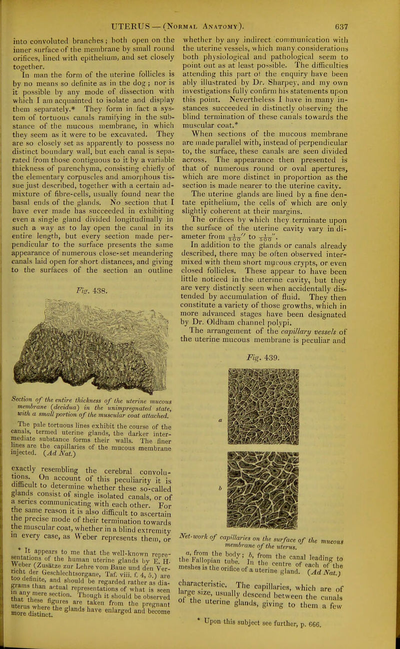 into convoluted branches; both open on the inner surface of the membrane by small round orifices, lineil with epithehum, and set closely together. In man the form of the uterine follicles is by no means so definite as in the dog ; nor is it possible by any mode of dissection with which I ajn acquainted to isolate and display them separately.* They form in fact a sys- tem of tortuous canals ramifying in the sub- stance of the mucous membrane, in which they seem as it were to be excavated. They are so closely set as apparently to possess no distinct boundary wall, but each canal is sepa- rated from those contiguous to it by a vari;ible thickness of parenchyma, consisting chiefly of the elementary corpuscles and amorphous tis- sue just described, together with a certain ad- mixture of fibre-cells, usually found near the basal ends of the glands. No section that I have ever made has succeeded in exhibiting even a single gland divided longitudinally in such a way as to lay open the canal in its entire length, but every section made per- pendicular to the surface presents the same appearance of numerous close-set meandering canals laid open for short distances, and giving to the surfaces of the section an outline Fis. 438. Section of the entire thickness of the uterine mucous membrane (decidua) in the unimpregnafed state, with a small jmrtion of the muscular coat attached. The pale tortuous lines exhibit the course of the canals, termed uterine glands, the darker inter- mediate substance forms their walls. The finer lines are the capillaries of the mucous membrane injected. (^Ad Nat.) exactly resembling the cerebral convolu- tions. On account of this peculiarity it is difficult to determine whether these so-called glands consist of single isolated canals, or of a series communicating with each other. For the same reason it is also difficult to ascertain the precise mode of their termination towards the muscular coat, whether in a blind extremity in every case, as Weber represents them, or 1*^ *PP«? to me that the well-known repre- Mntations of the human uterine glands by E. II. Weber (^usatze zur Lehre vom Baue und den Ver- 1 ^i^eschlechtsorgane, Taf. viii. f. 4, b.) are Sams thin' t '''^■''^^ rathe'rasdia! fn «nt rn '•eP'-esentations of what is seen hat err- ''■''el' it should be observed utern« X 1 from tl'e pregnant whether by any indirect communication with the uterine vessels, which many considerations both physiological and pathological seem to point out as at least possible. The difficulties attending this part ot the enquiry have been ably illustrated by Dr. Sharpey, and my own investigations fully confirm his statements upon this point. Nevertheless I have in many in- stances succeeded in distinctly observing the blind termination of these canals towards the muscular coat.* When sections of the mucous membrane are made parallel with, instead of perpendicular to, the surface, these canals are seen divided across. The appearance then presented is that of numerous round or oval apertures, which are more distinct in proportion as the section is made nearer to the uterine cavity. The uterine glands are lined by a fine den- tate epithelium, the cells of which are only slightly coherent at their margins. The orifices by which they terminate upon the surface of the uterine cavity vary in di- ameter from ^1/' to ^y. In addition to the glands or canals already described, there may be often observed inter- mixed with them short mucous crypts, or even closed follicles. These appear to have been little noticed in the uterine cavity, but they are very distinctly seen when accidentally dis- tended by accumulation of fluid. They then constitute a variety of those growths, which in more advanced stages have been designated by Dr. Oldham channel polypi. The arrangement of the capillary vessels of the uterine mucous membrane is peculiar and Fig. 439. Net.work of capillaries on the surface of the mucous membrane of the uterus. characteristic. The capillaries, which are of Wge s.ze usually desce'n.l between the camds of the uterme glands, giving to them a few * Upon this subject see further, p. 666.