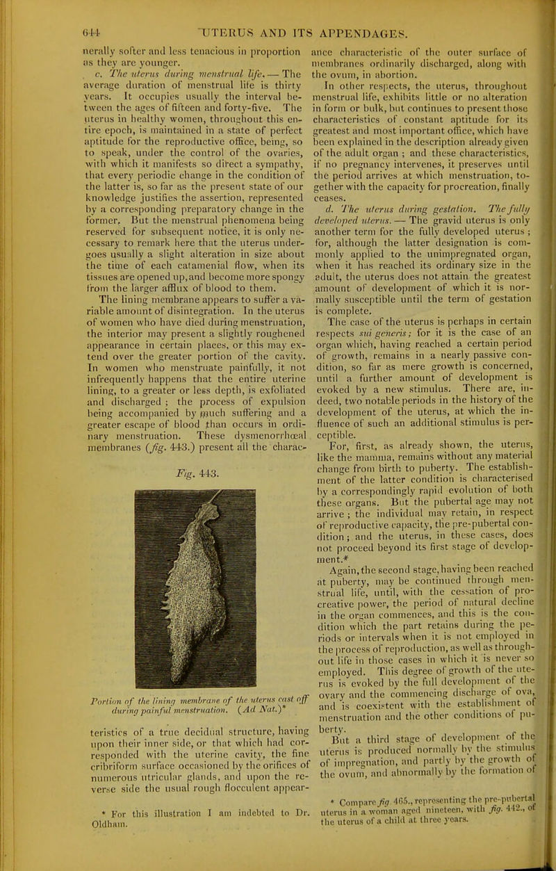 nerally softer and less tenacious in proportion as they are younger. c. The ufenis (taring vicnstrnal life. — The avonige duration of menstrual life is thirty years. It occupies usually the interval be- tween the ages of fifteen and forty-five. The uterus in iiealthy women, throughout this en- tire epoch, is maintained in a state of perfect aptitude for the reproductive office, being, so to speak, under the control of the ovaries, with which it manifests so direct a sympathj', that every periodic change in the condition of the latter is, so far as the present state of our knowledge justifies the assertion, represented by a corresponding preparatory change in the former. But the menstrual phenomena being reserved for subsequent notice, it is only ne- cessary to remark here that the uterus under- goes usuidly a slight alteration in size about the time of each catamenial flow, when its tissues are opened up, and become more spongy from the larger afflux of blood to them. The lining membrane appears to suffer a va- riable amount of disintegration. In the uterus of women who have died during menstruation, the interior may present a slightly roughened appearance in certain places, or this may ex- tend over the greater portion of the cavity. In women who menstruate painfully, it not infrequently happens that the entire uterine lining, to a greater or less depth, is exfoliated and discharged ; the process of expulsion being accompanied by jpuch suffering and a greater escape of blood than occurs in ordi- nary menstruation. These dysmenorrhoeal membranes {fig. 443.) present all the charac- Fig. 443. Porlwn of the liiihirf membrane of l/ic iiterua rnst nff during painful mmstruation. {Ad Nat.) teristics of a true decidual structure, having upon their inner side, or that which had cor- responded with the uterine cavity, the fine cribriform surface occasioned by the orifices of numerous utricular glands, and upon the re- verse side the usual rough flocculent appear- ♦ For this illustration I am indebted to Dr. Oldham. ance characteristic of the outer surface of membranes ordinarily discharged, along with the oviun, in abortion. In other respects, the uterus, throughout menstrual life, exhibits little or no alteration in form or bulk, but continues to present those characteristics of constant aptitude for its greatest and most important office, which have been explained in the description already given of the adult organ ; and these characteristics, if no pregnancy intervenes, it preserves until the period arrives at which menstruation, to- gether with the capacity for procreation, finally ceases. d. The iifcrics during geslaliim. Thefidly developed nteriis. — The gravid uterus is only another term for the fully developed uterus ; for, although the latter designation is com- monly a[)plied to the unimpregnated organ, when it has reached its ordinary size in the adult, the uterus does not attain the greatest amount of development of which it is nor- mally susceptible until the term of gestation is complete. The case of the uterus is perhaps in certain respects .mi generis; for it is the case of an organ which, having reached a certain period of growth, remains in a nearly passive con- dition, so far as mere growth is concerned, until a further amount of development is evoked by a new stimulus. There are, in- deed, two notable periods in the history of the development of the uterus, at which the in- fluence of such an additional stimulus is per- ceptible. For, first, as already shown, the uterus, like the mamma, remains without any material change from birth to puberty. The establish- ment of the latter condition is characterised by a correspondingly rapid evolution of both these organs. But the pubertal age may not arrive ; the individual may retain, in respect of re|)roductive capacity, tlie pre-pubertal con- dition ; and the uterus, in these cases, does not proceed beyond its first stage of develop- ment.* Again, the second stage, having been reached at puberty, may be continued through men- strual life, until, with the cessation of pro- creative power, the i)erio(l of natural decline in the oriian commences, and this is the con- dition which the part retains during the pe- riods or intervals when it is not employed in the process of reproduction, as well as through- out life in those cases in which it is never so employed. This degree of growth of the lite- ms is evoked by the full development of the ovary and the commencing discharge of ova, and is coexistent with the establishment of menstruation and the other conditions of pu- berty. , c , But a third stage of developmenr of the uterus is produced normally by the stmmlus of imprcnuation, and partly by the growth of the ovuin, and abnormally by the formation of * Compare/<7 405., representing the pre-pubertal uterus in a woman aged nineteen, with fig. 44J., ot the uterus of a child at three years.